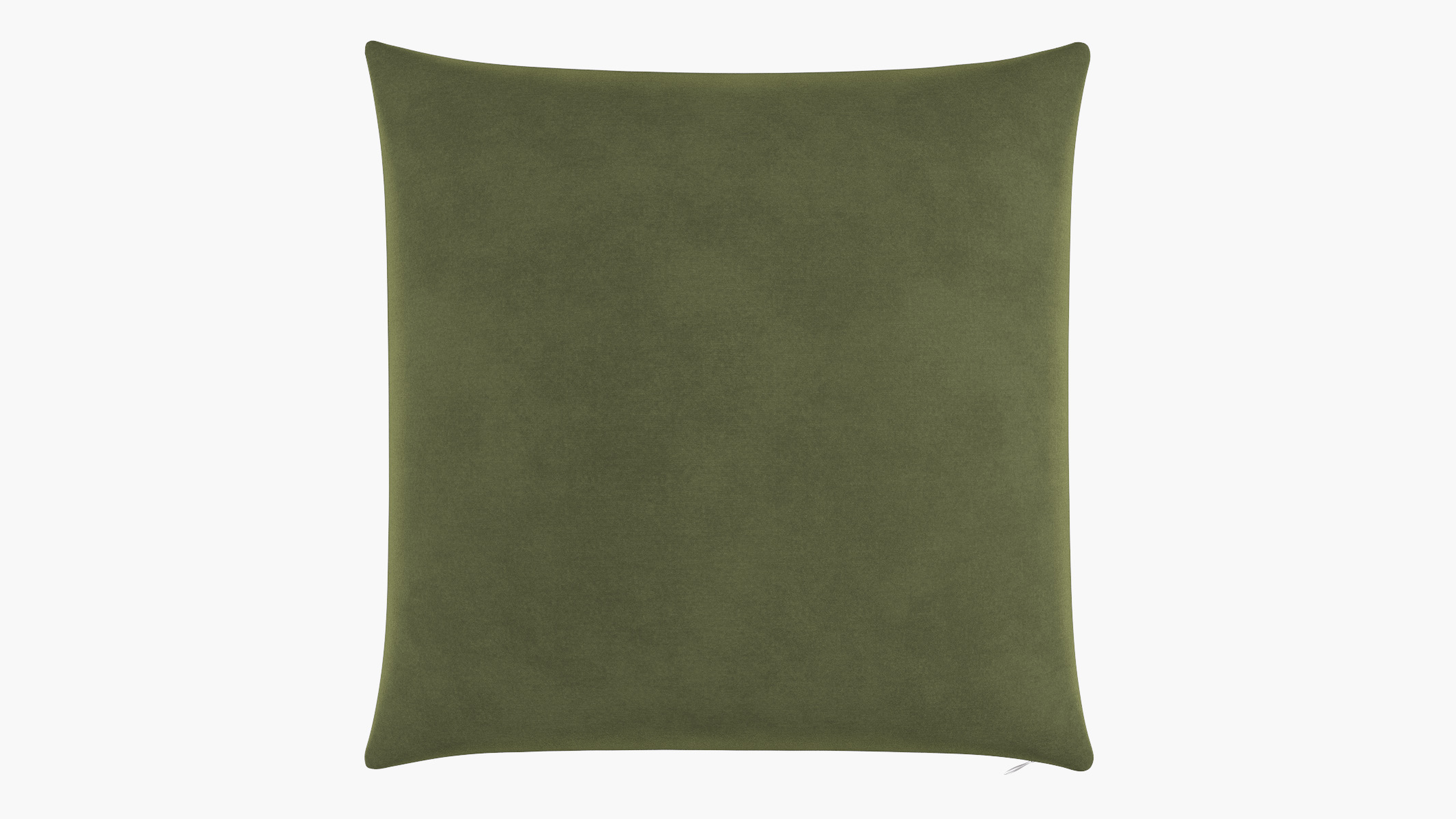 Throw Pillow 26", Zucchini Luxe Velvet, 26" x 26" - The Inside