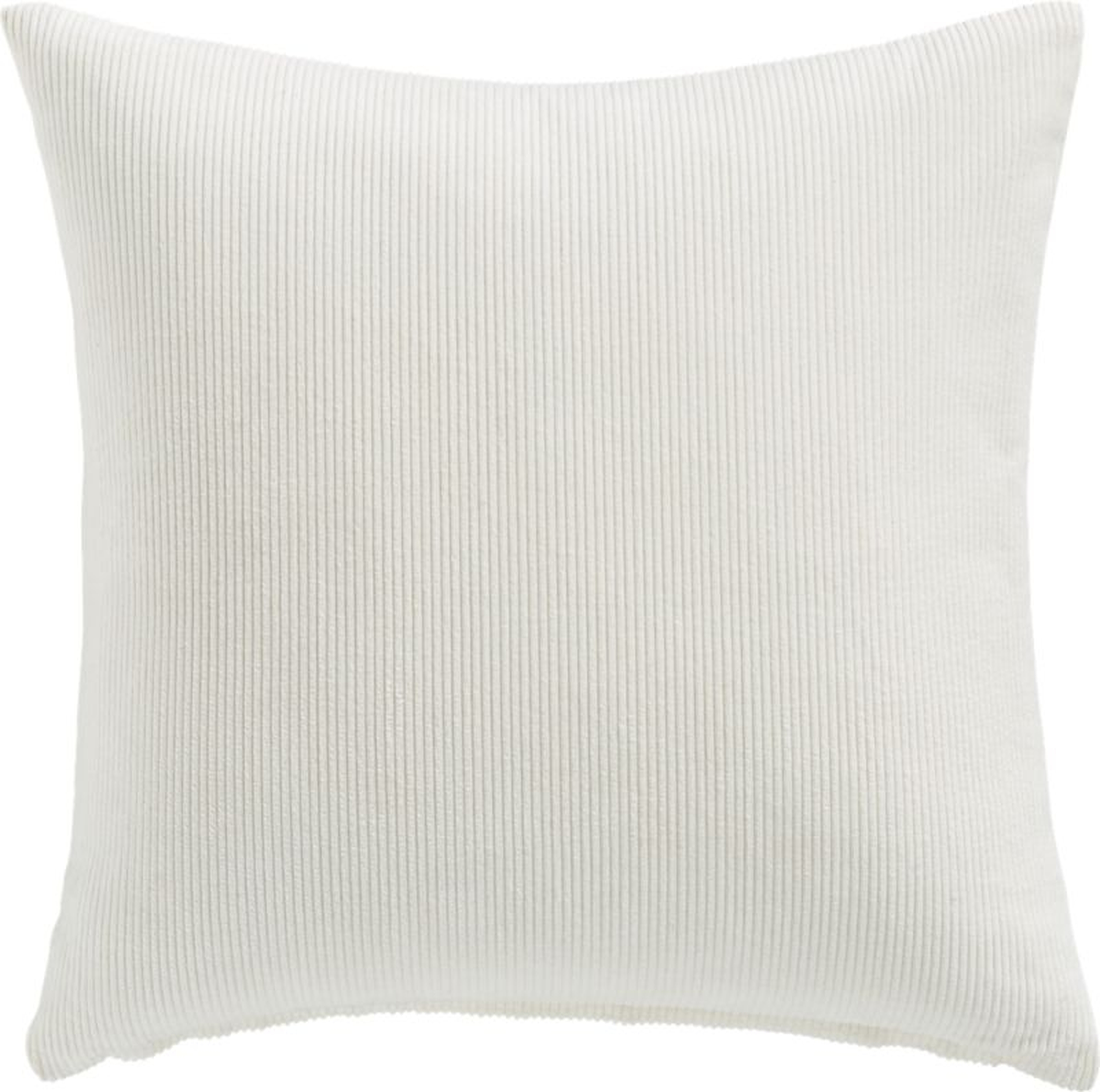 20" Anywhere Pillow with Down-Alternative Insert - CB2