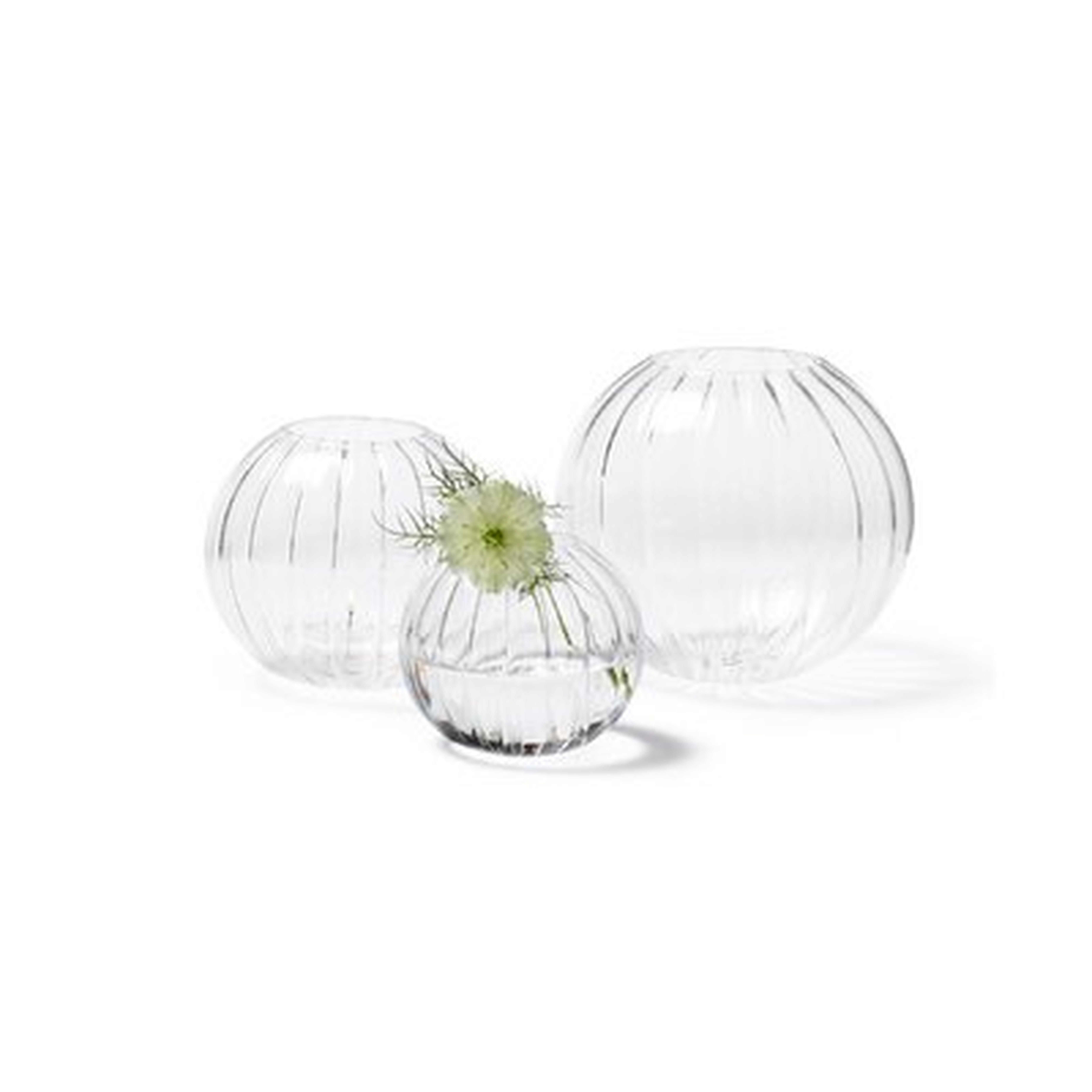 Citrine Clear Indoor / Outdoor Glass Table Vase - Wayfair