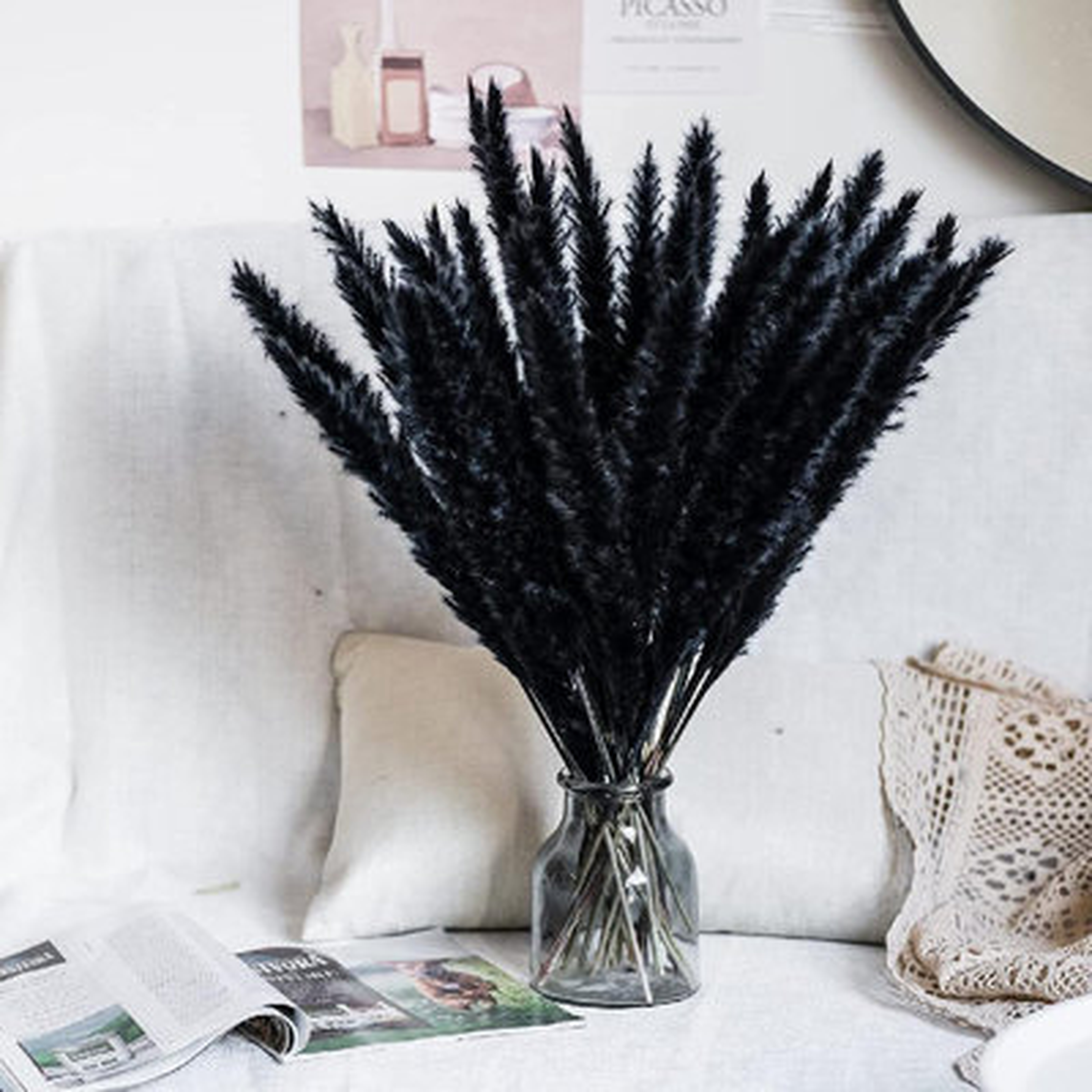 Pampas Grass,  Pampas   Pampas - Wayfair