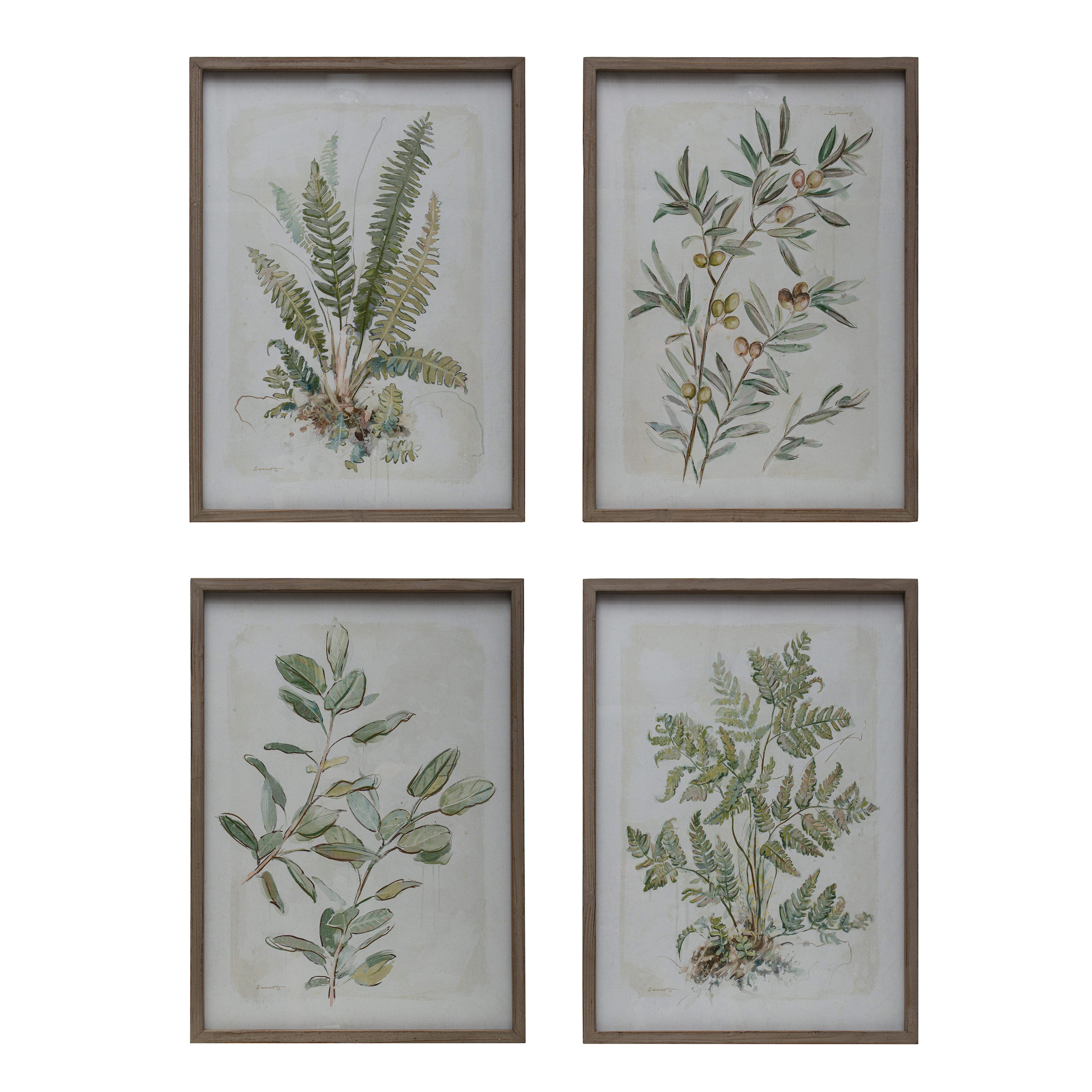 Botanical Image Wood and Glass Framed Wall Decor, Green, Set of 4 - Creative Co-Op