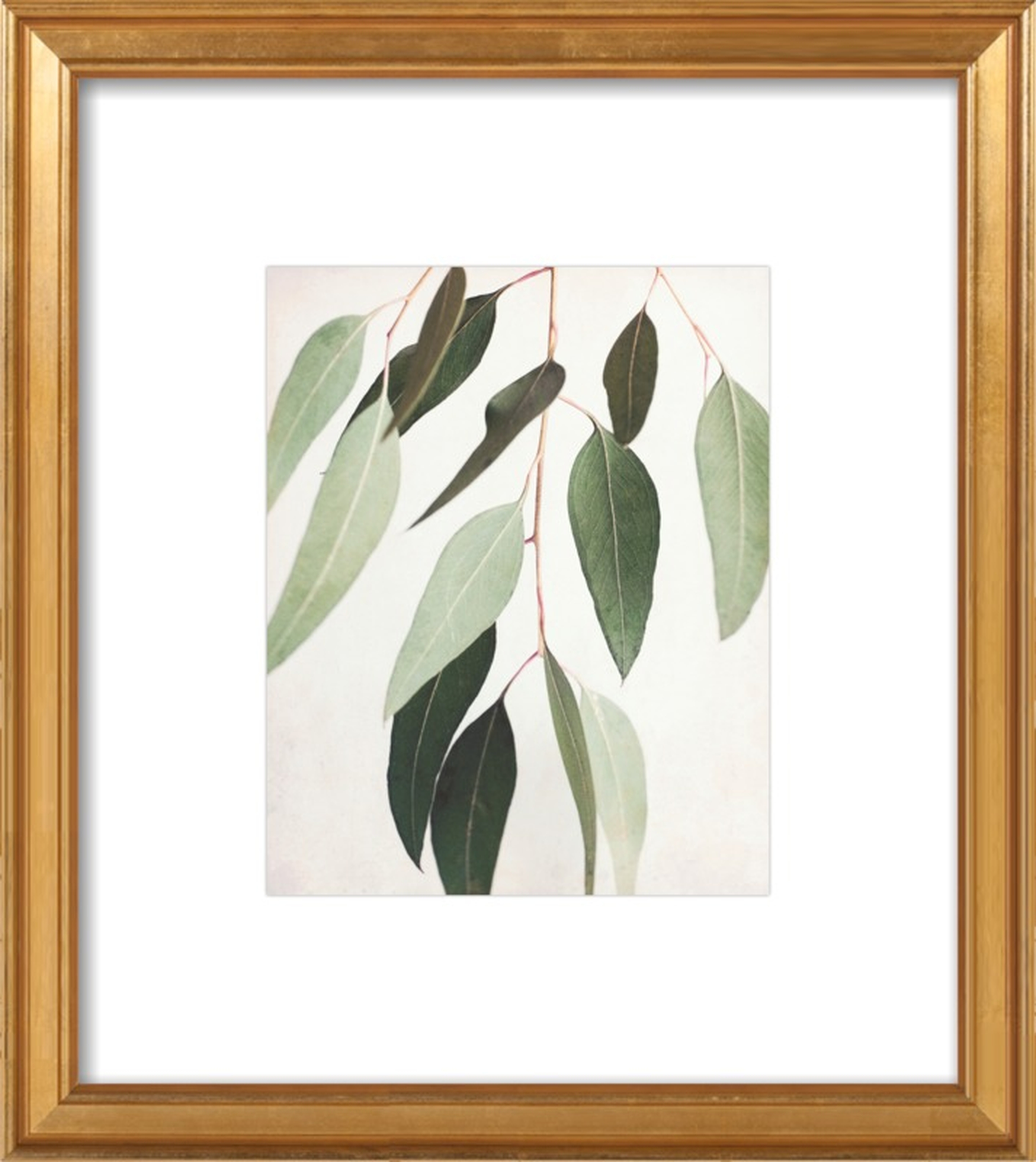 Eucalyptus Spring Three by Lupen Grainne for Artfully Walls - Artfully Walls