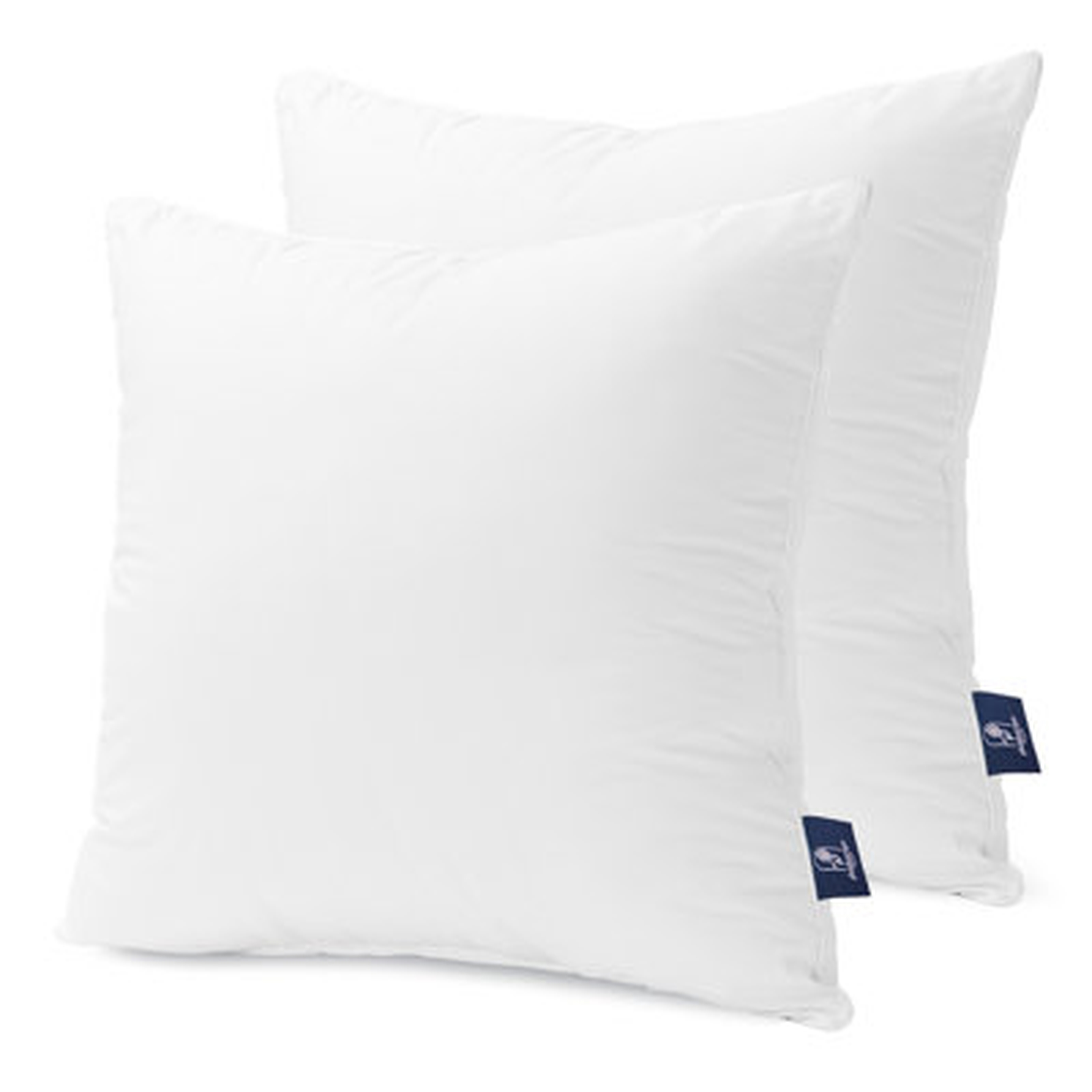 SET OF 2 Latitude Run® 100% Cotton Stuffer Square Decorative Throw Pillow Insert, 22" X 22", 2 Pack - Wayfair