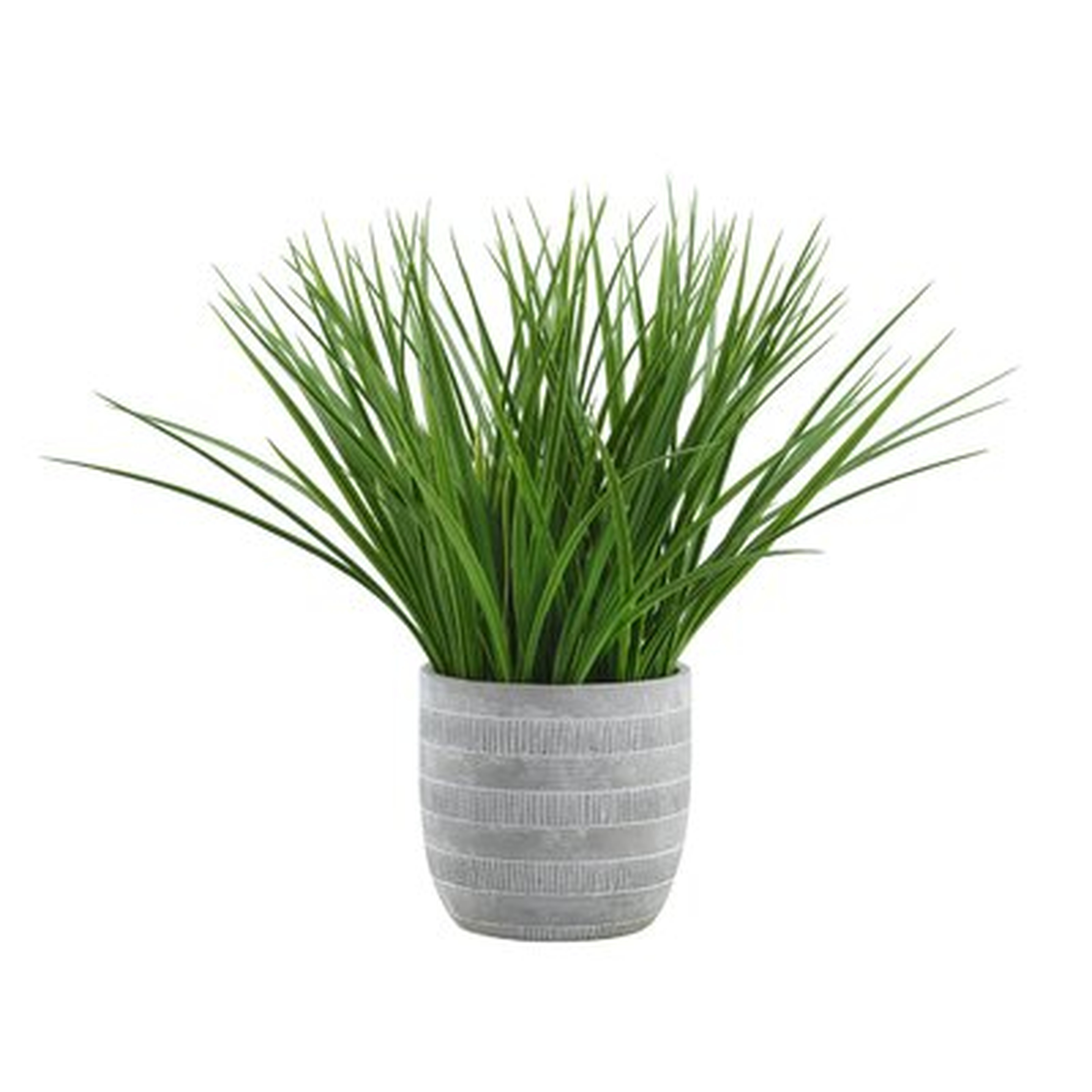 9.75'' Artificial Onion Grass Plant in Pot - Wayfair