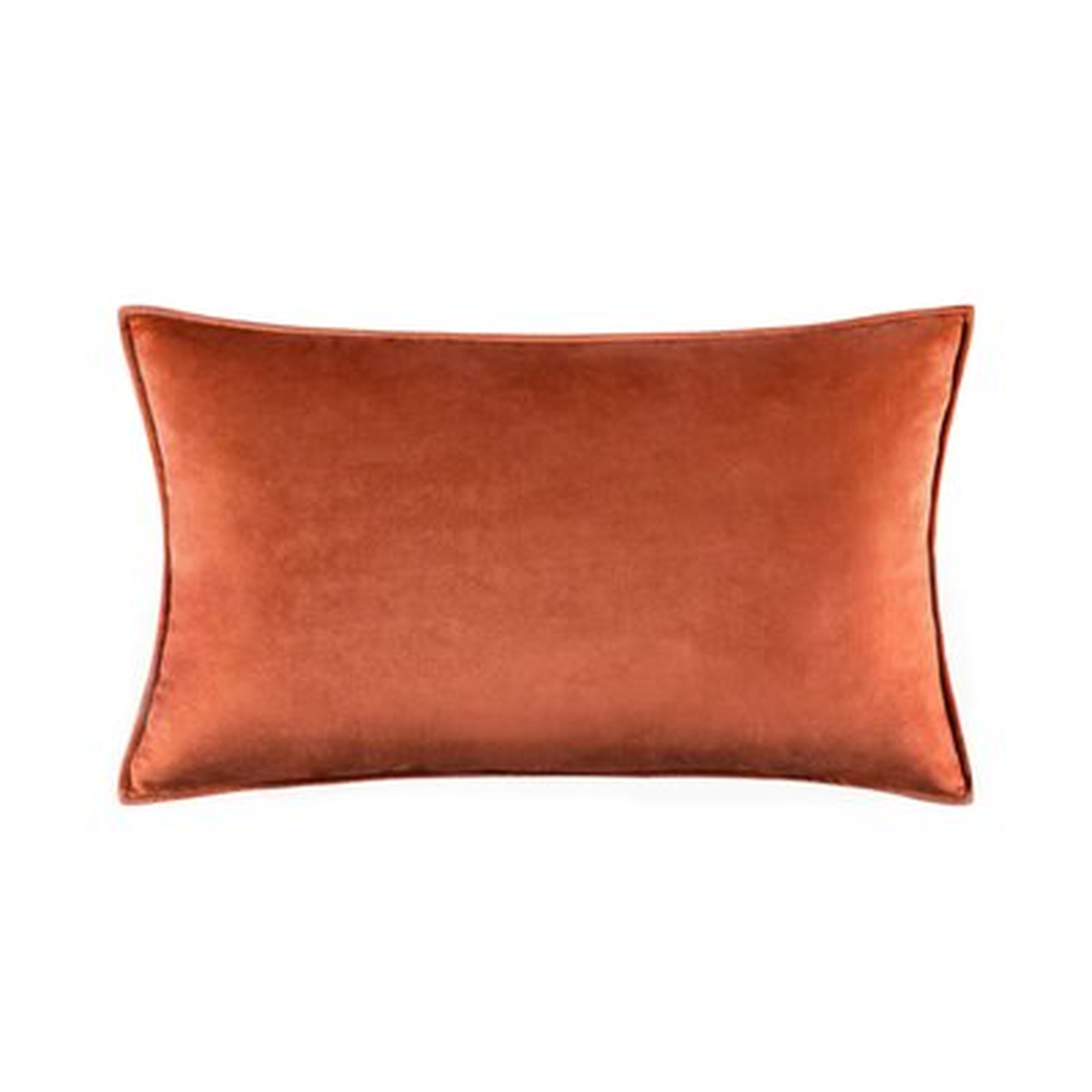 Velvet Cushion - Wayfair