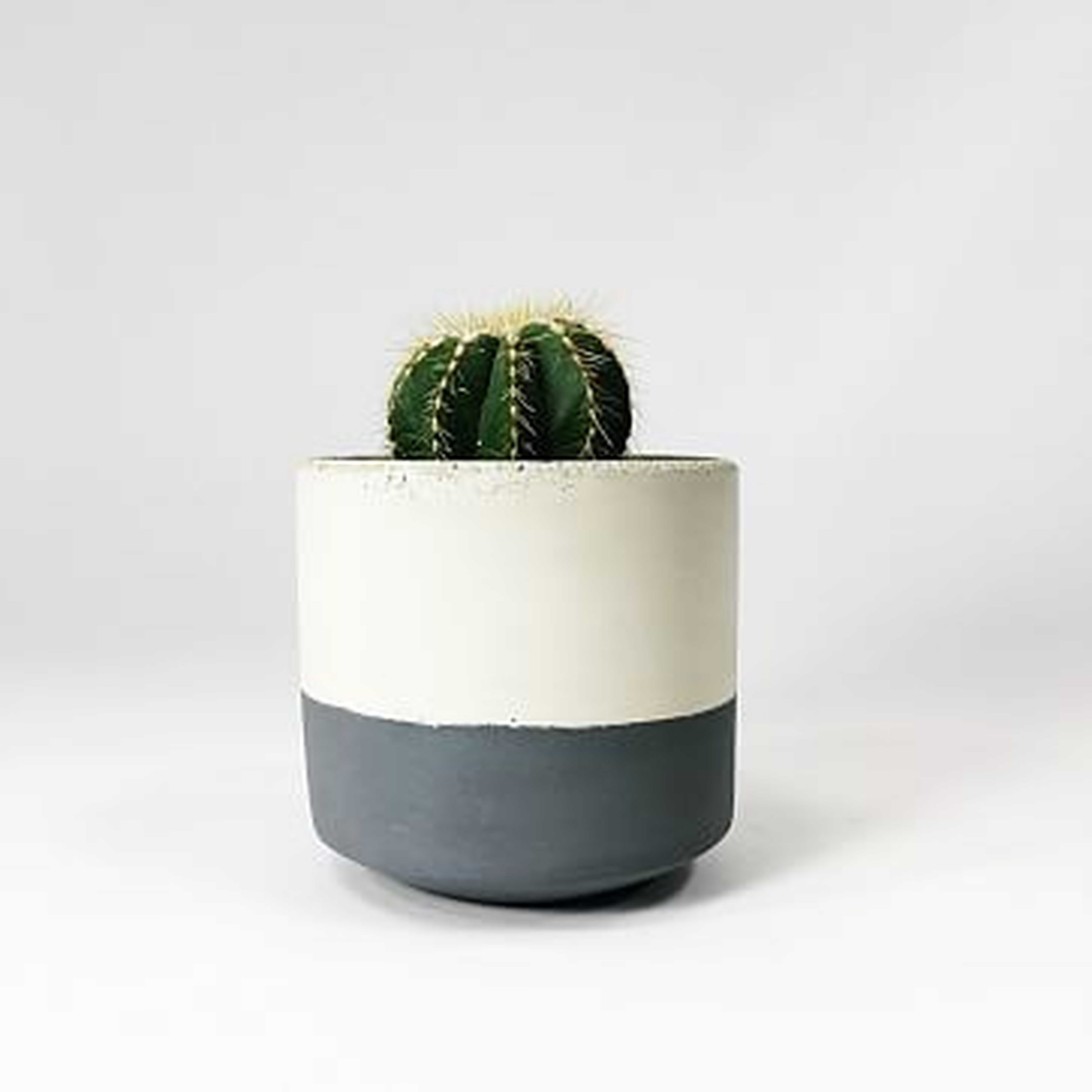 Straight-Sided Concrete Pot, Small, Dark Gray - West Elm