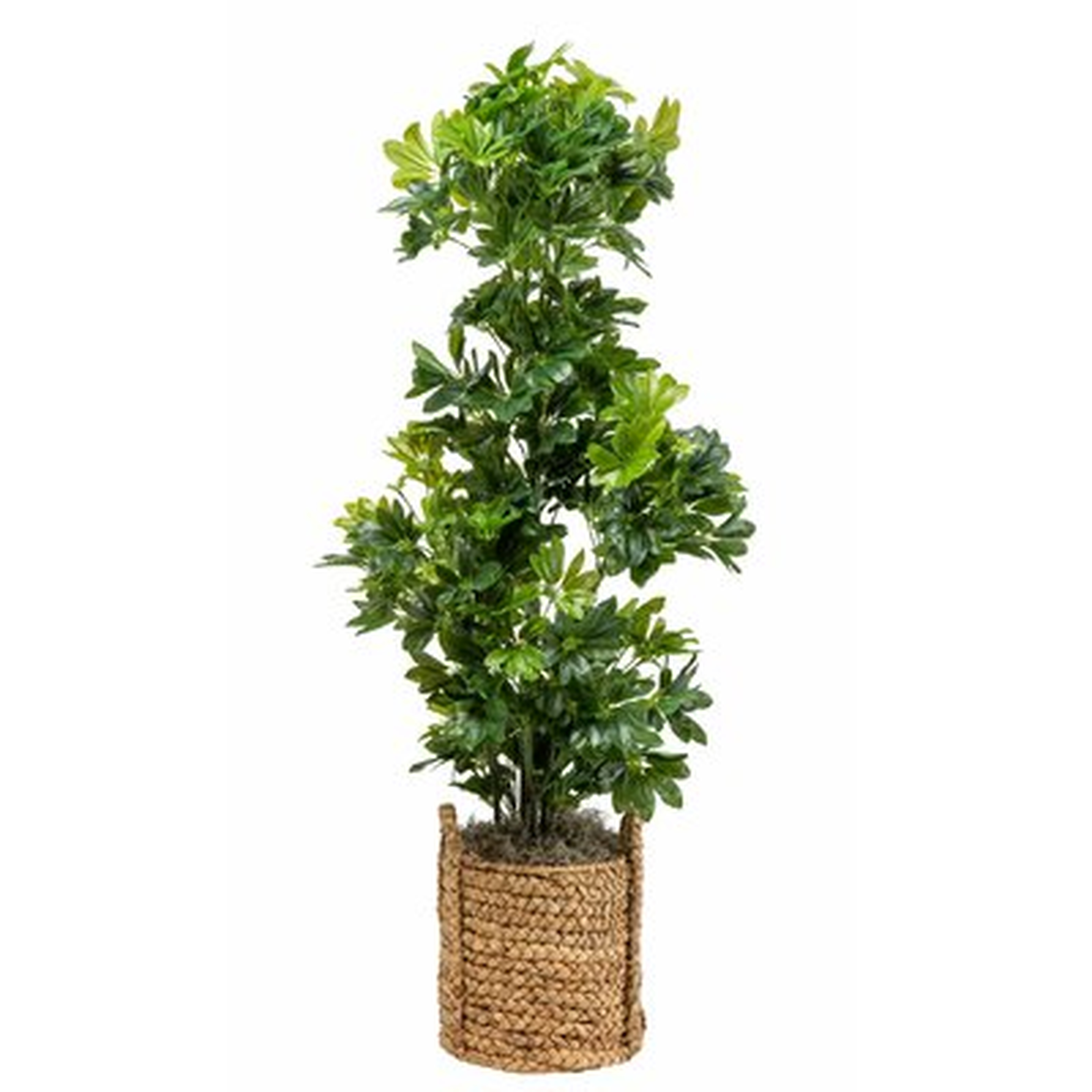 66" Artificial Foliage Tree in Basket - Wayfair