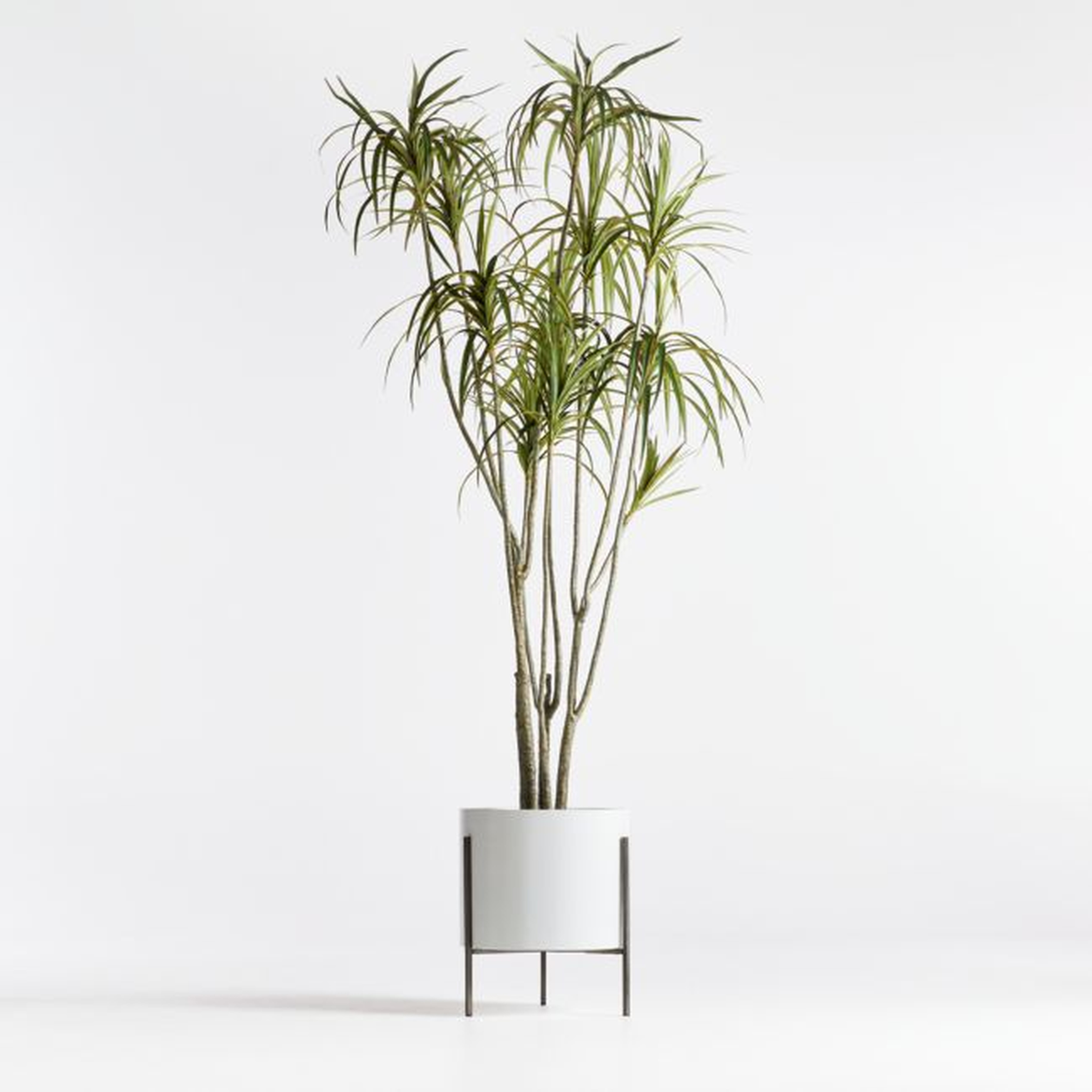 Potted Faux Dracaena 6.5' - Crate and Barrel