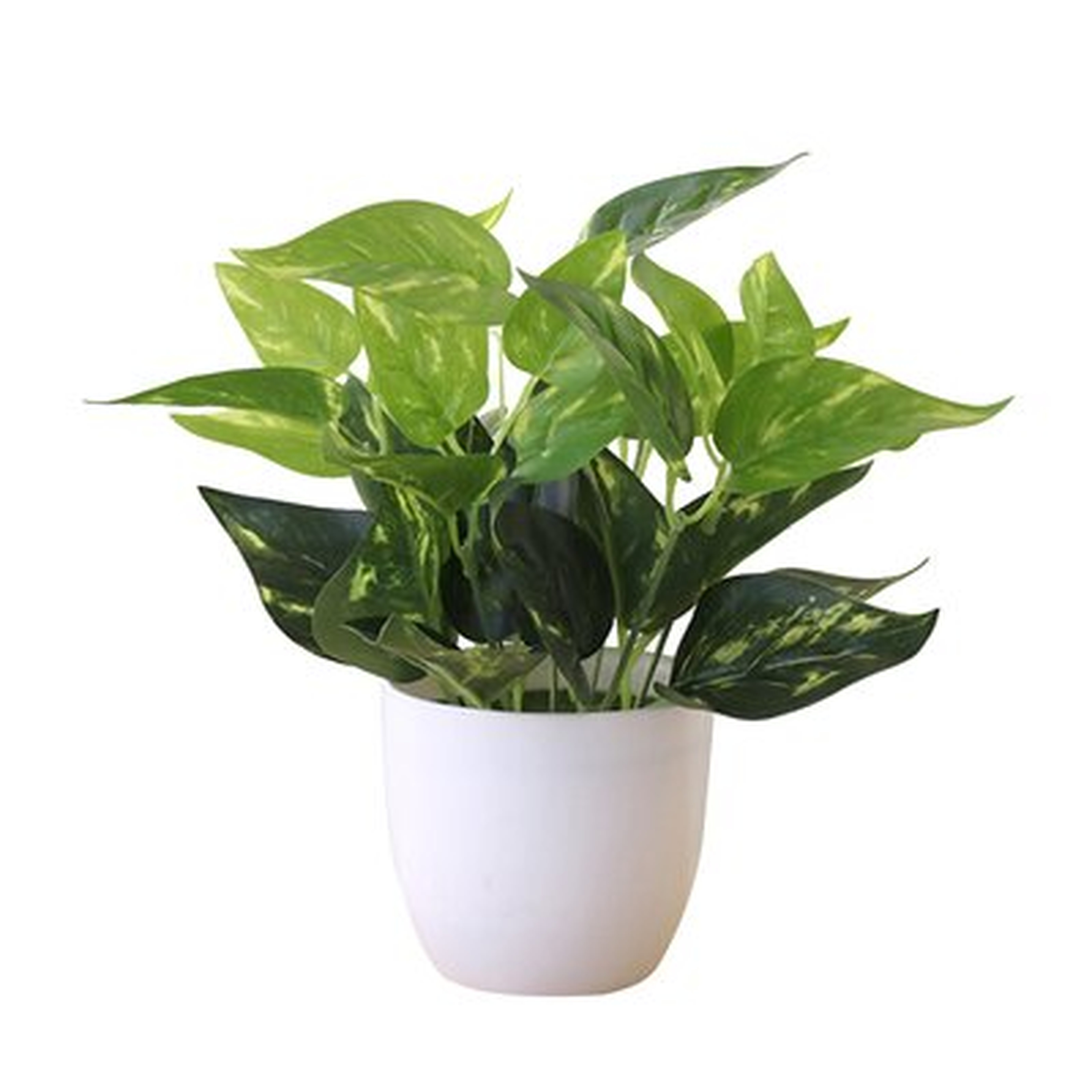 Faux Foliage Plant in Planter - Wayfair