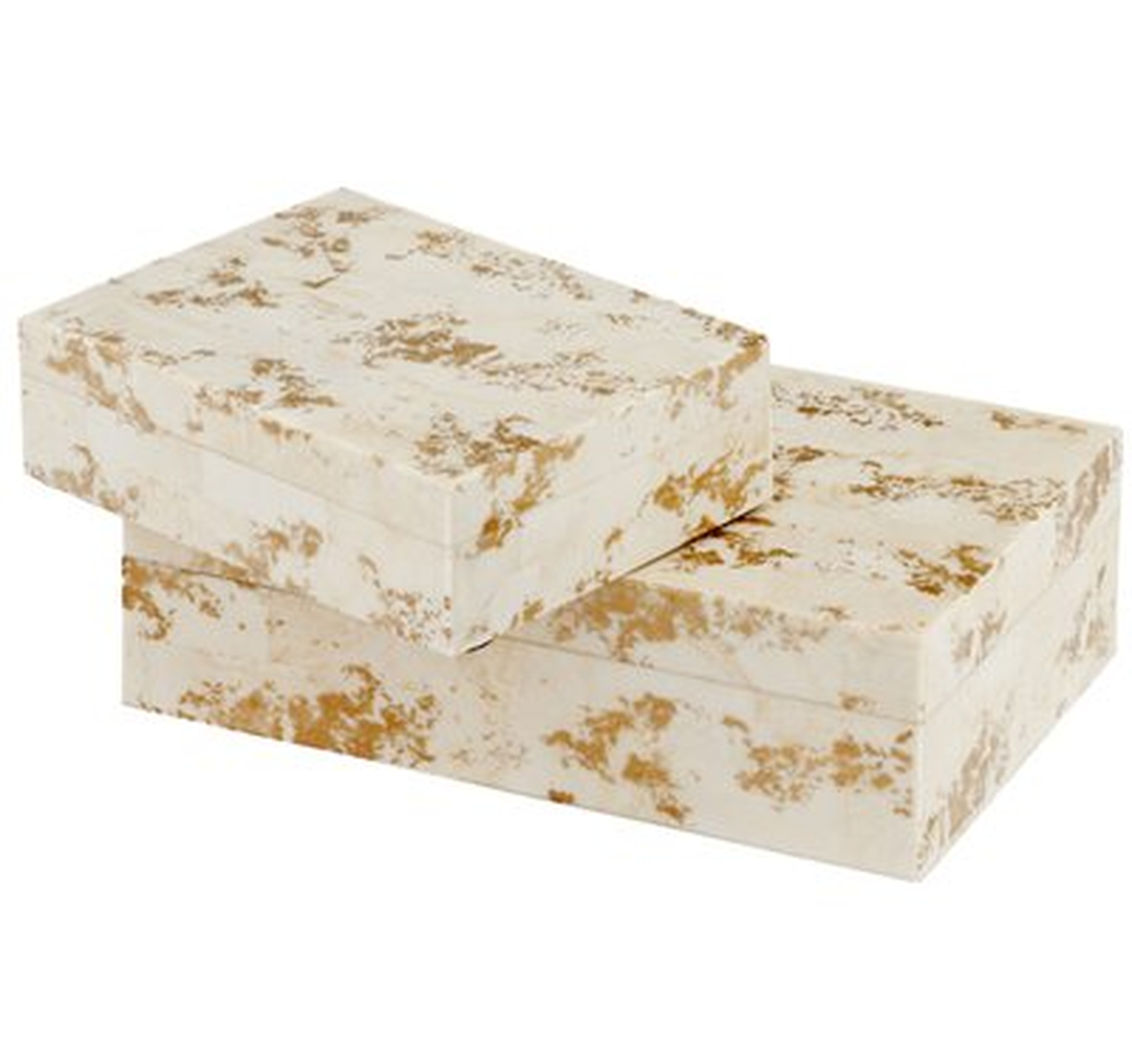 Lejeune Decorative 2 Piece Bone Box Set - AllModern