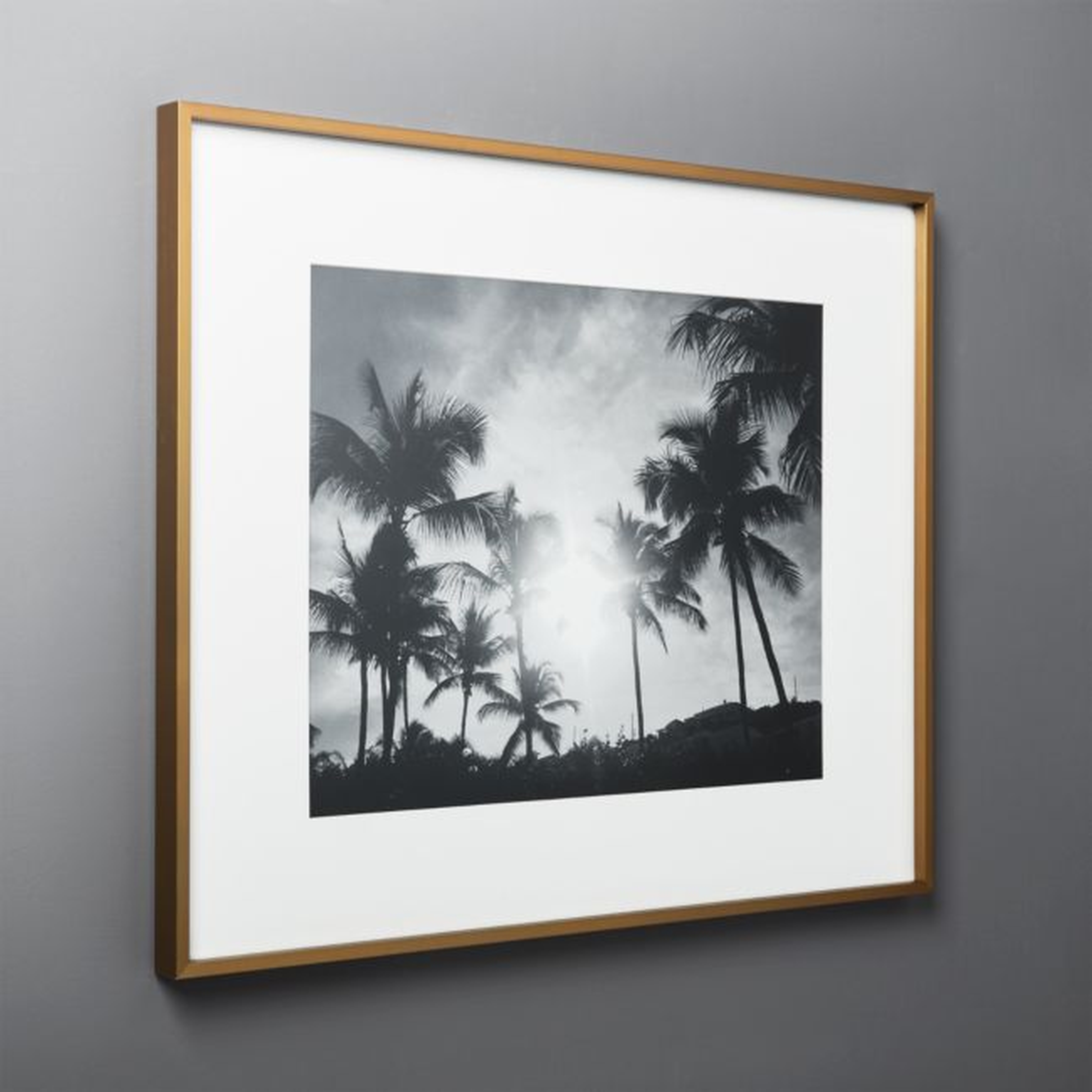 Gallery Brass Picture Frame with White Mat 16"x20" - CB2