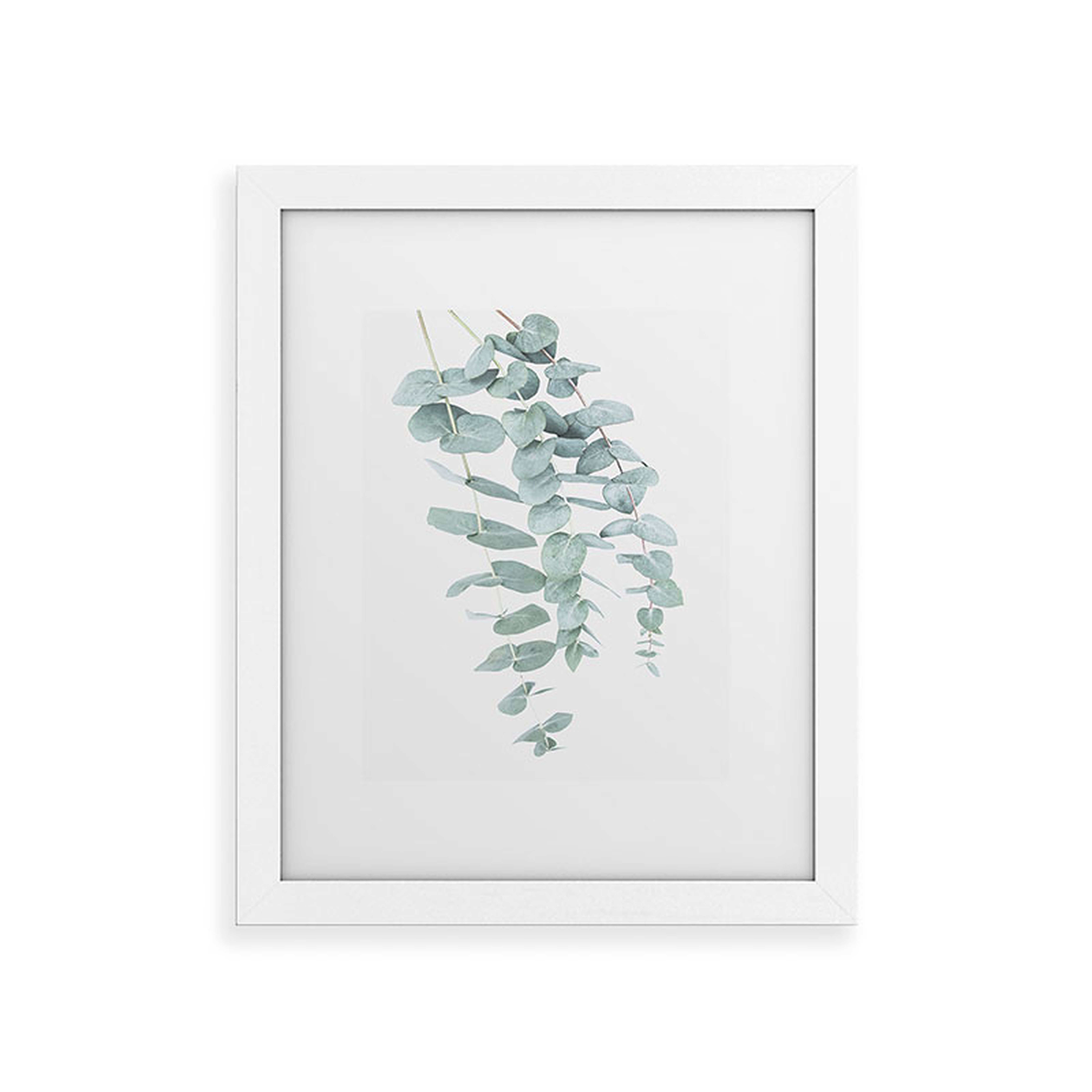 Mint Eucalyptus Ii by Sisi and Seb - Framed Art Print Classic White 24" x 36" - Wander Print Co.