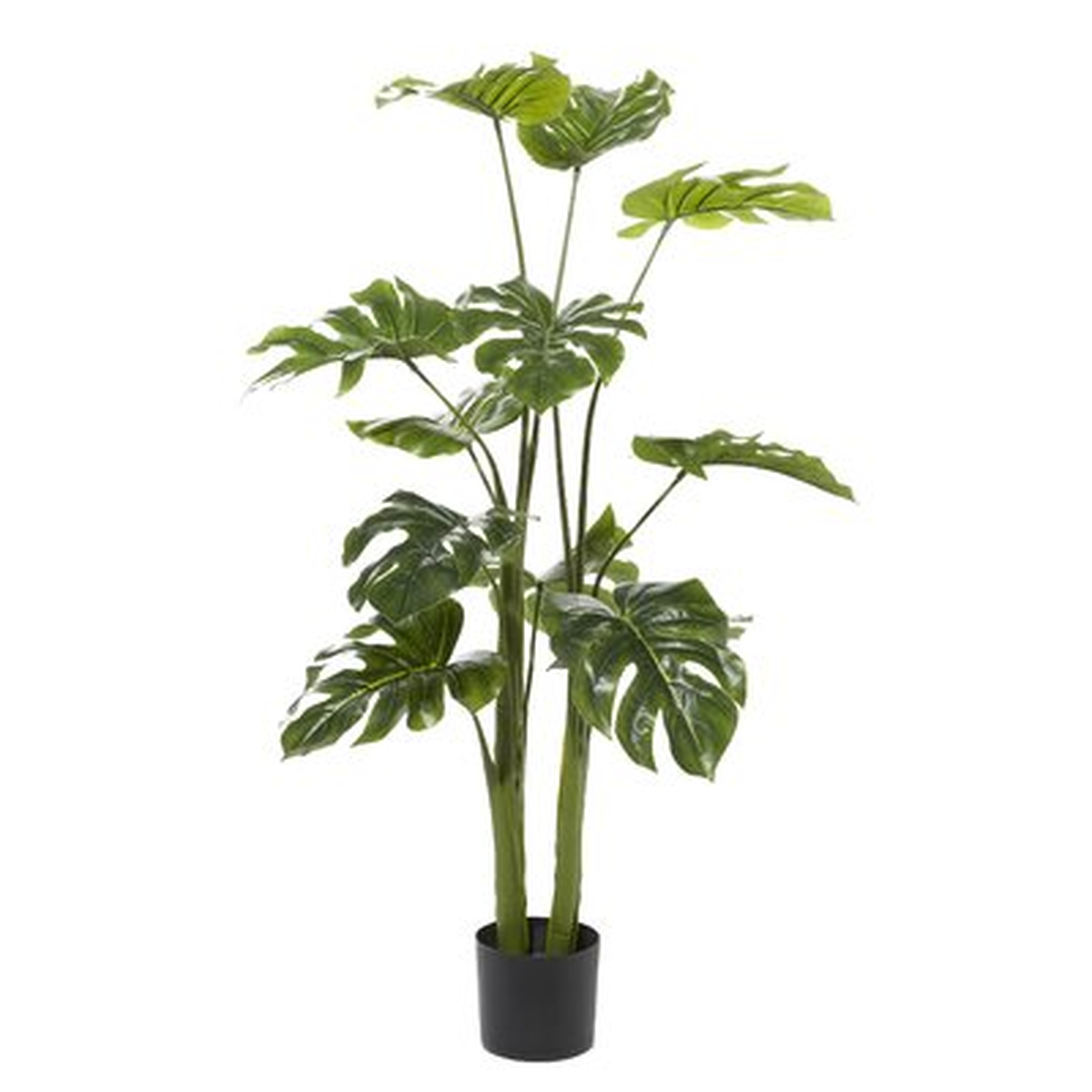 48" Artificial Swiss cheese plant Plant in Pot - Wayfair
