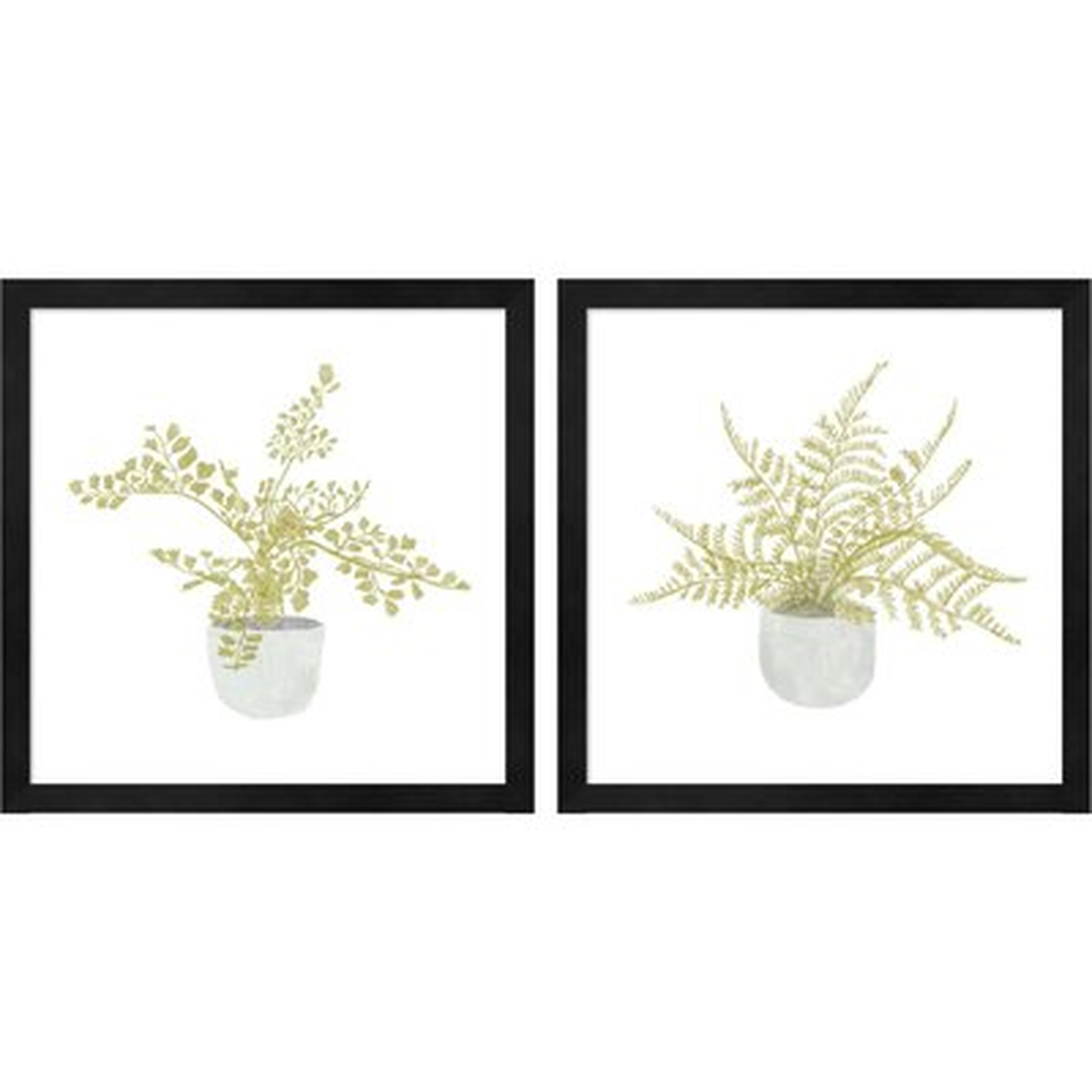 Potted Fern By Bannarot, Framed Art (Set Of 2) - Wayfair