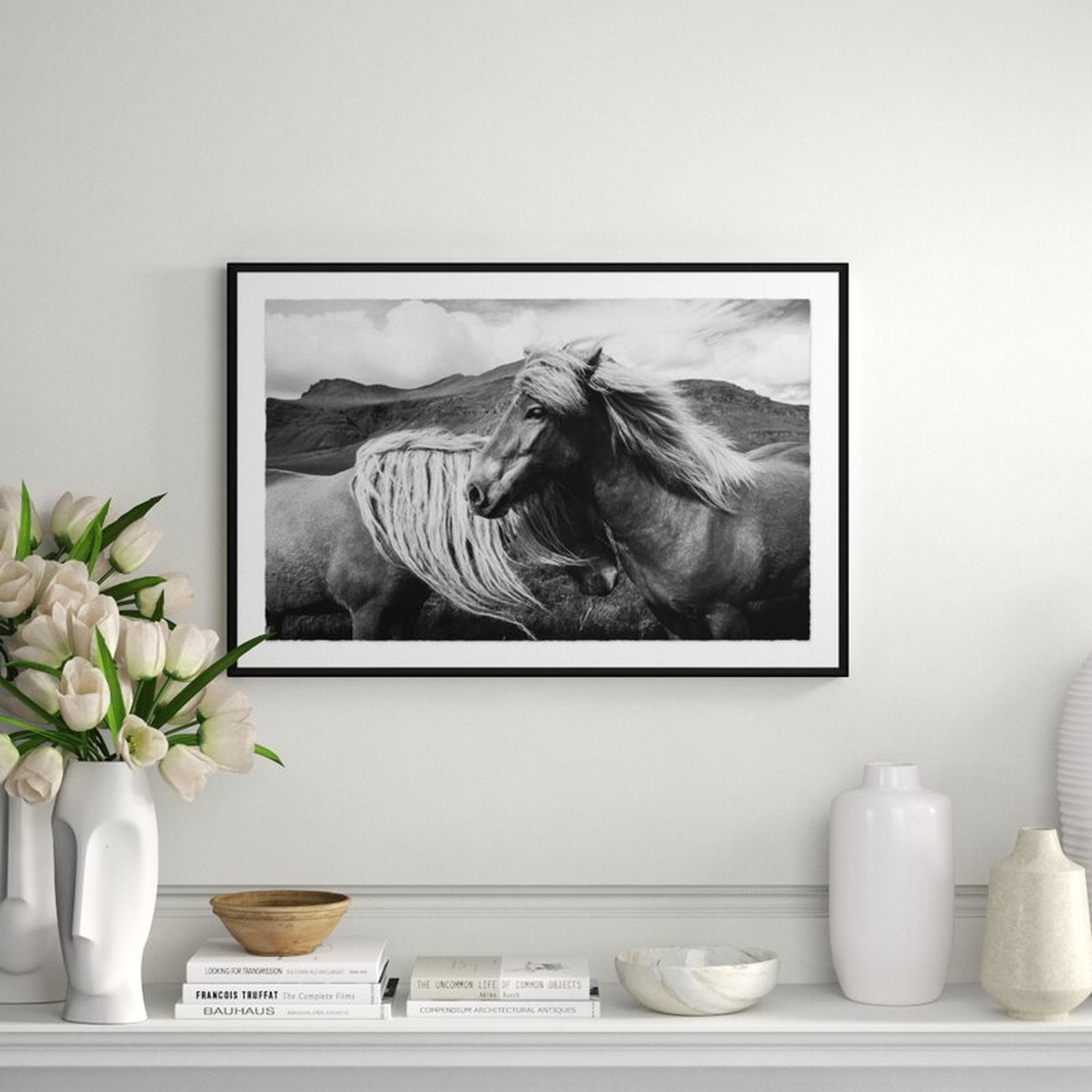 Soicher Marin Black and White Horse - Picture Frame Photographic Print on Paper - Perigold