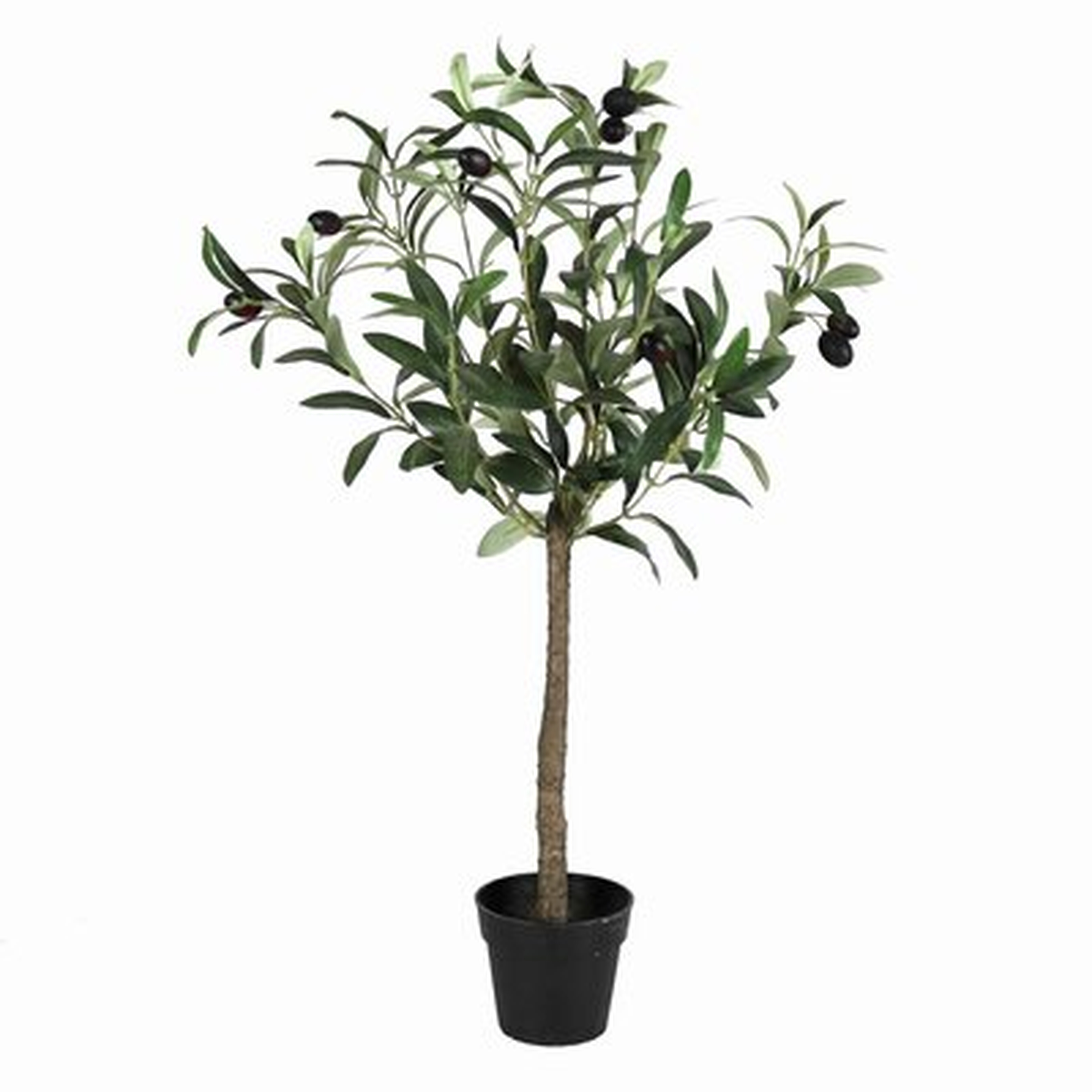 Artificial Olive Tree in Free Standing - Wayfair
