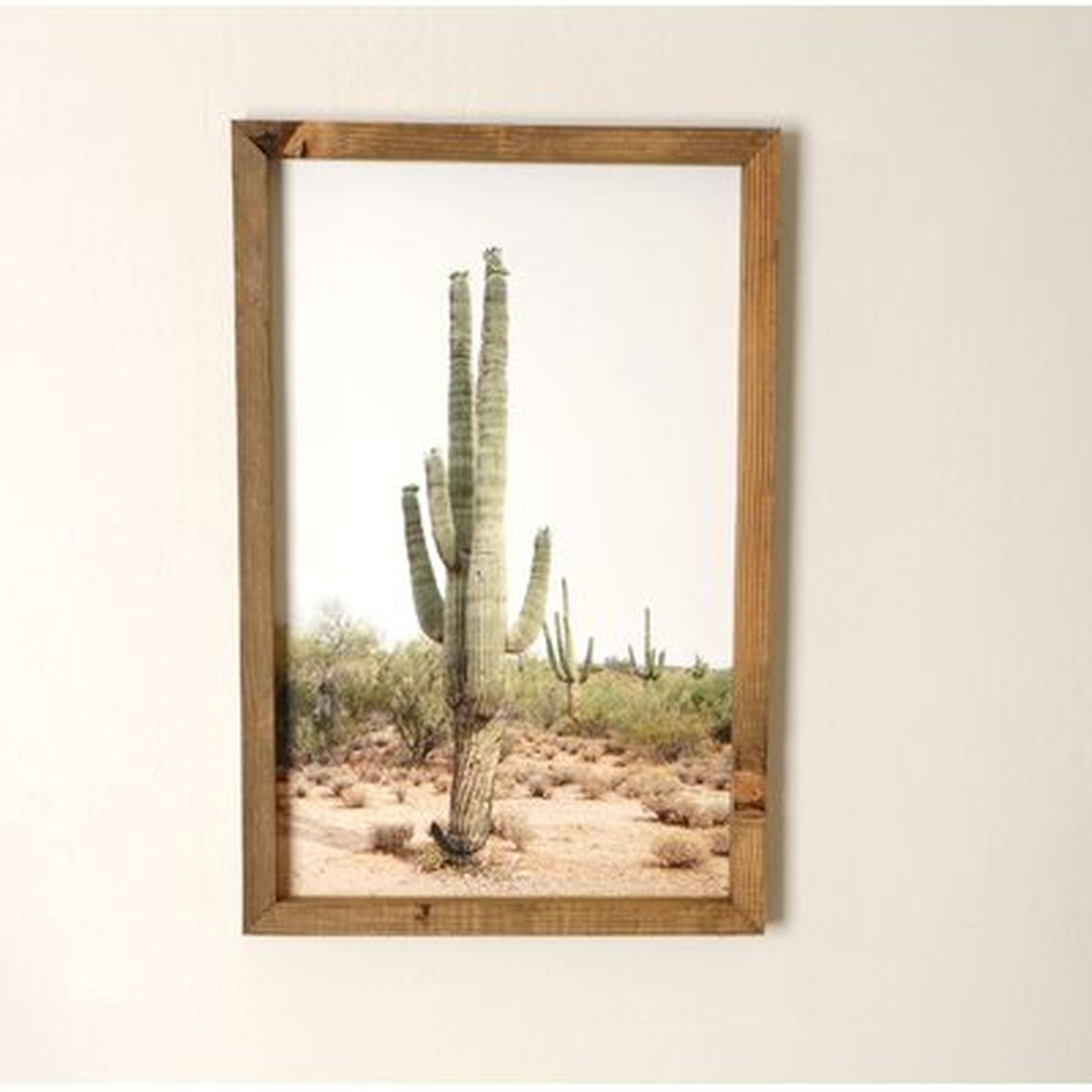 Desert Cactus - Picture Frame Photograph Print - Wayfair