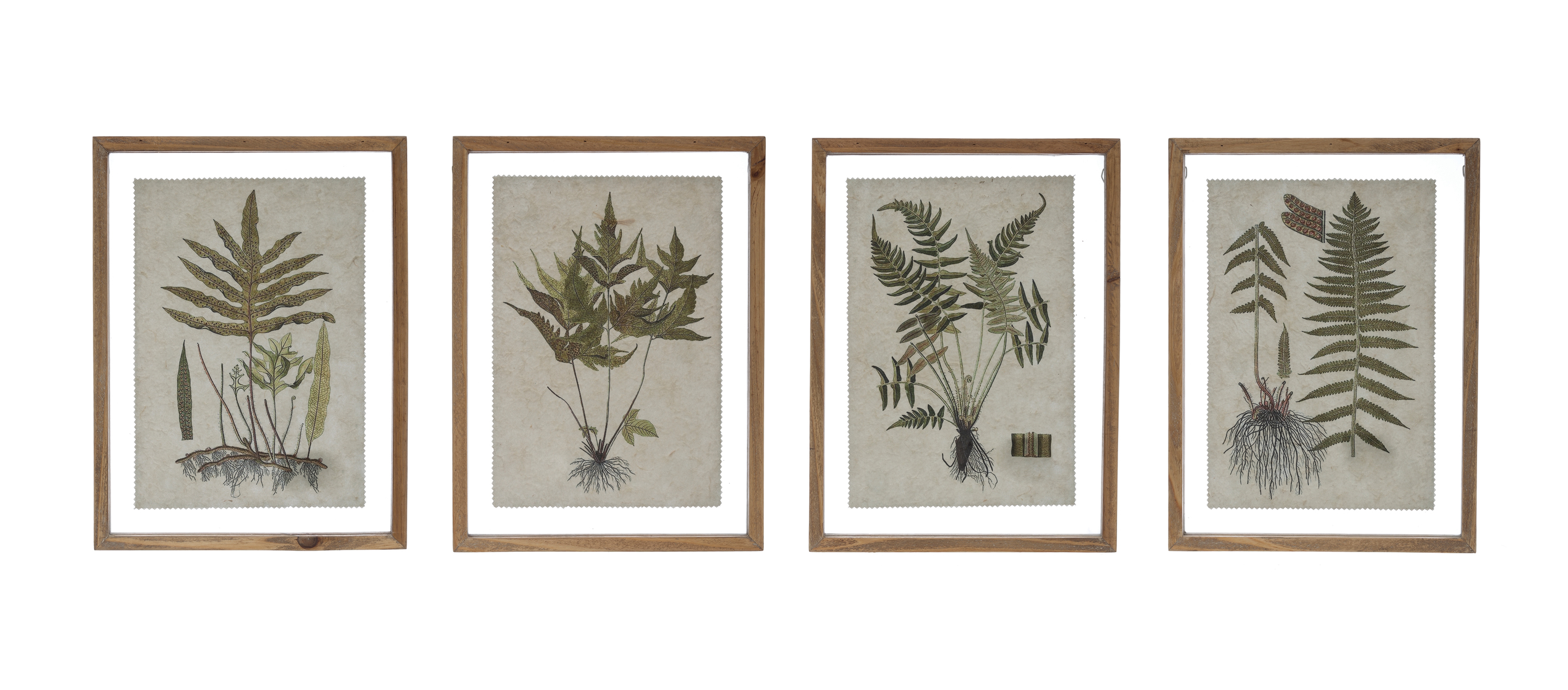 Botanical Print on Textured Material Wall Décor with Wood Frame (Set of 4 Styles) - Nomad Home