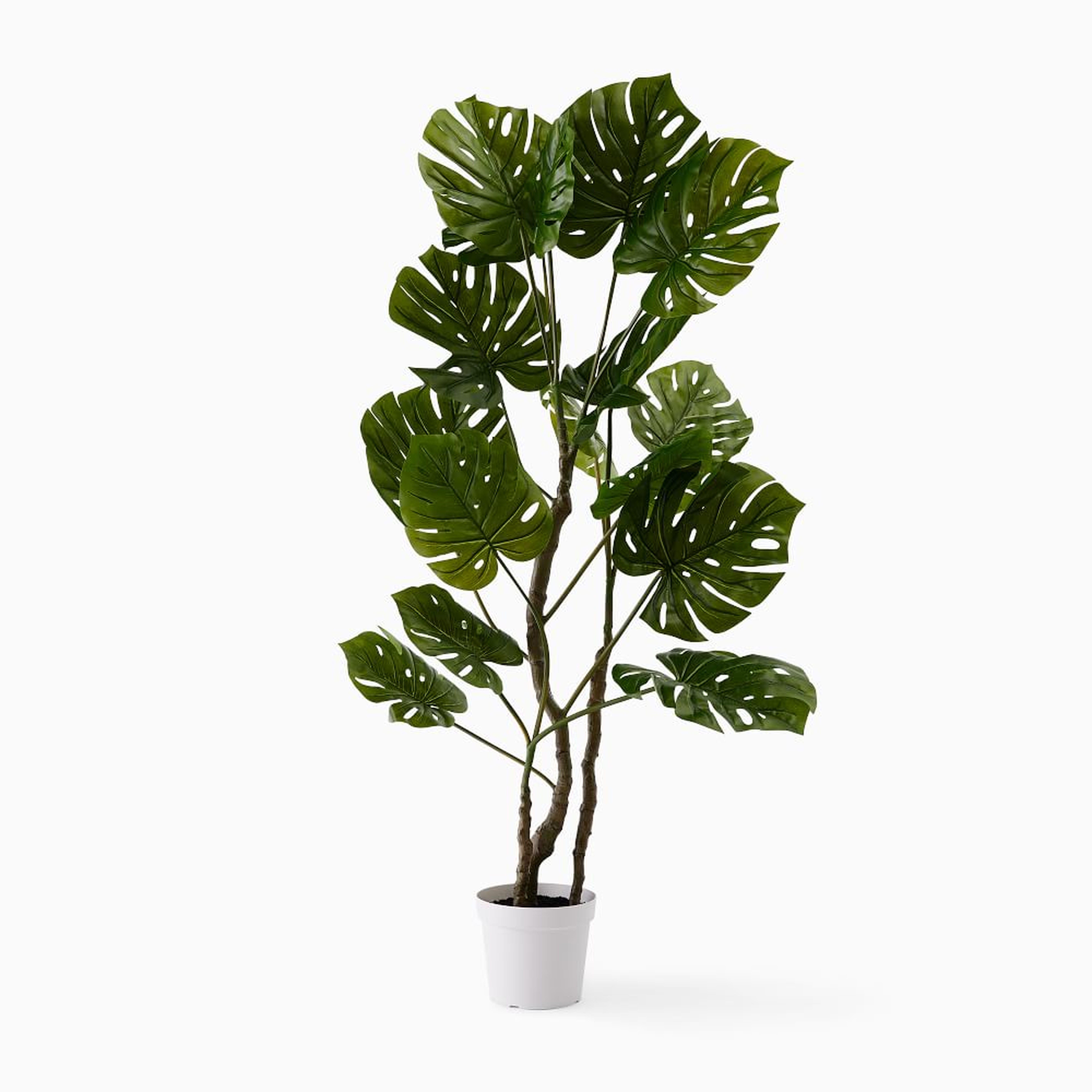 Faux Potted Monstera, 5' - West Elm