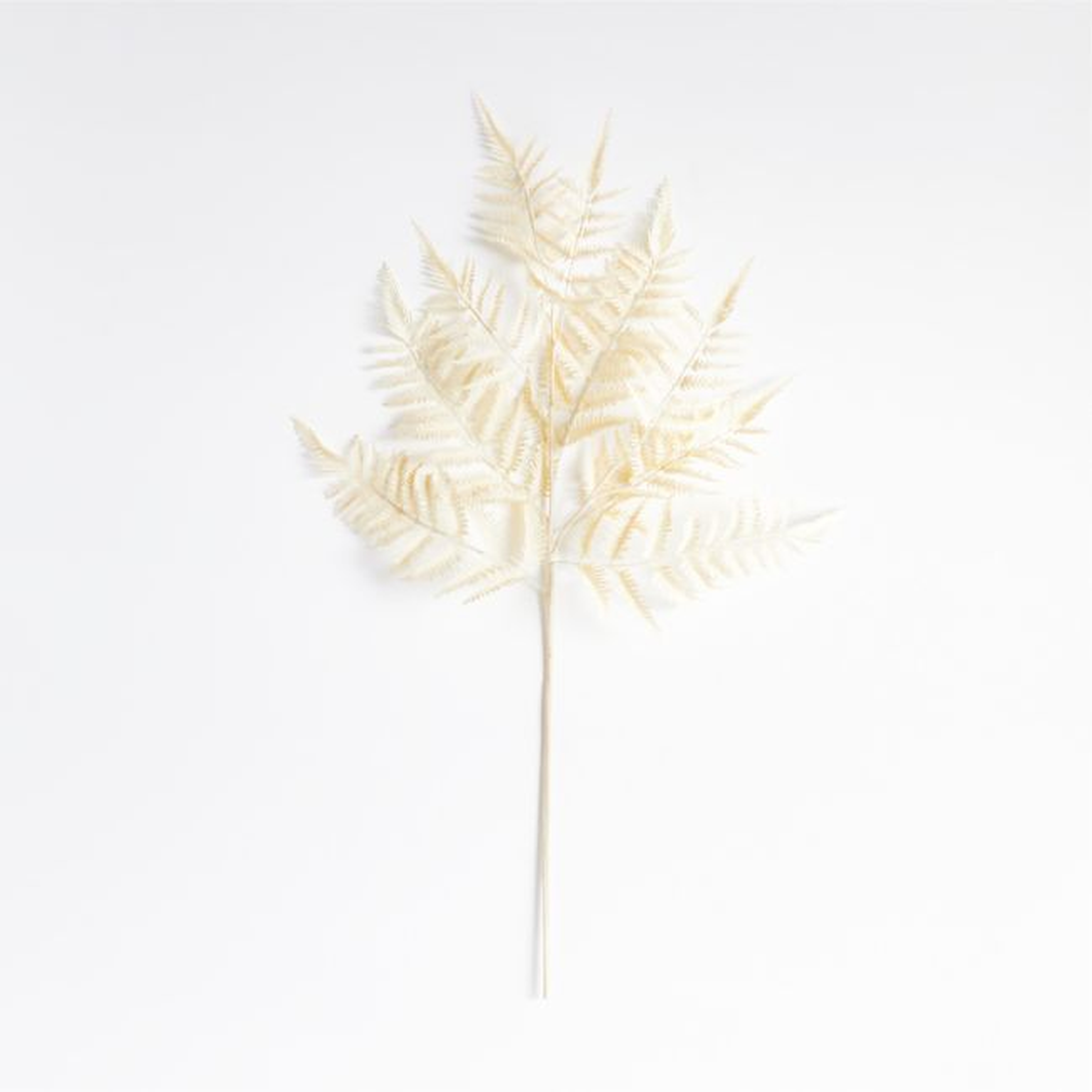 Faux White Fern Leaf Stem - Crate and Barrel