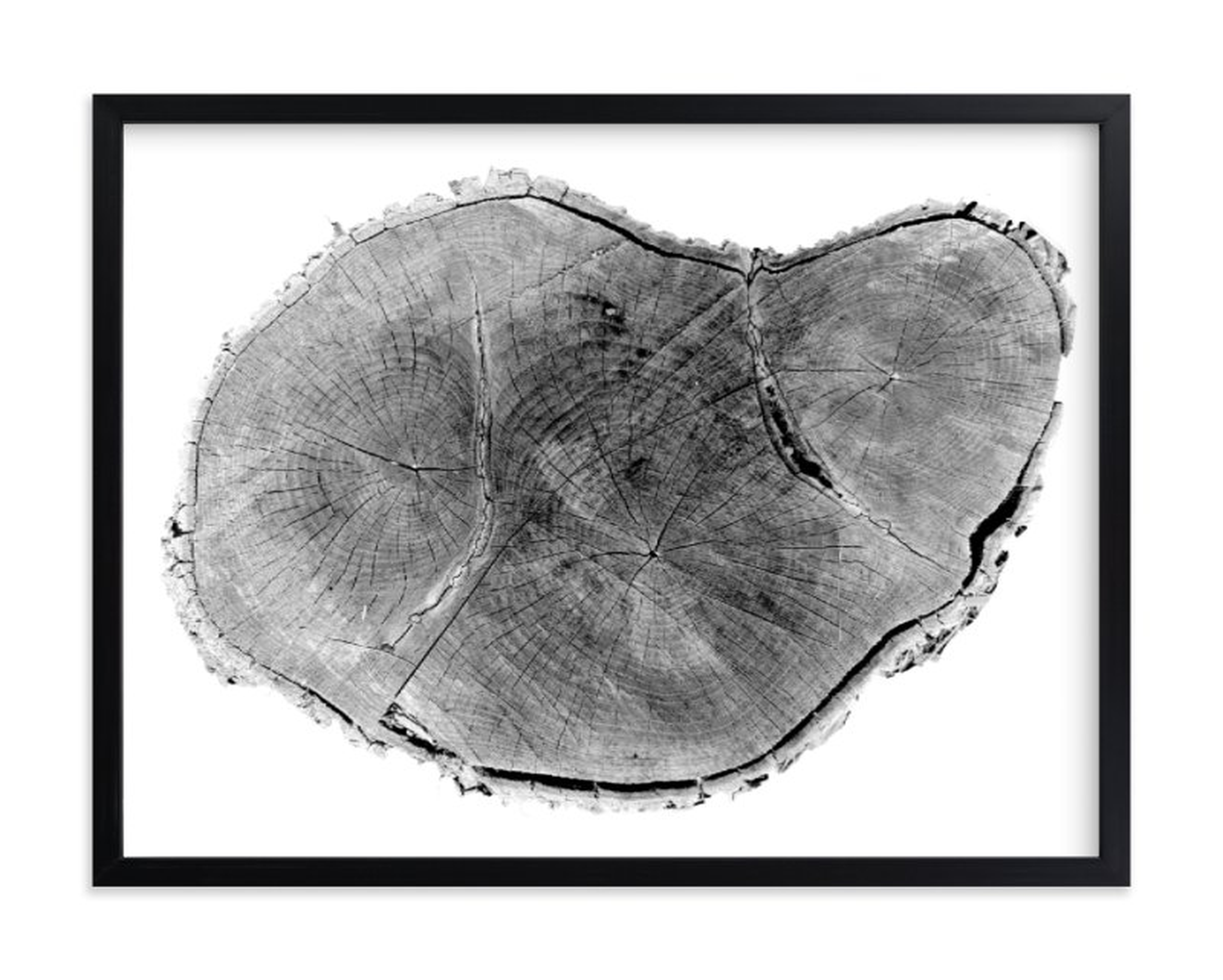 Tree Rings Pt. 1 Limited Edition Fine Art Print - Minted