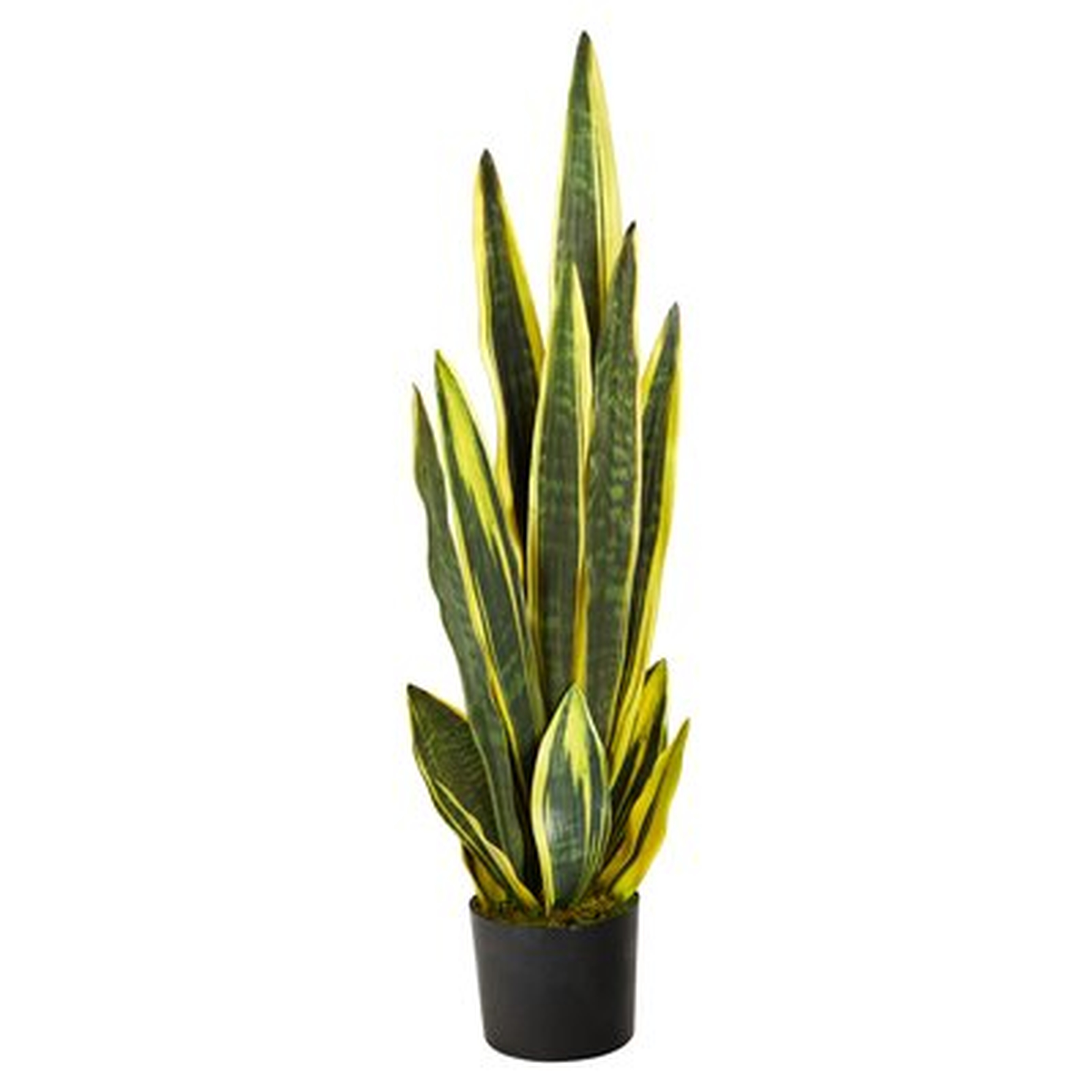 Artificial Snake Plant Tree - Wayfair