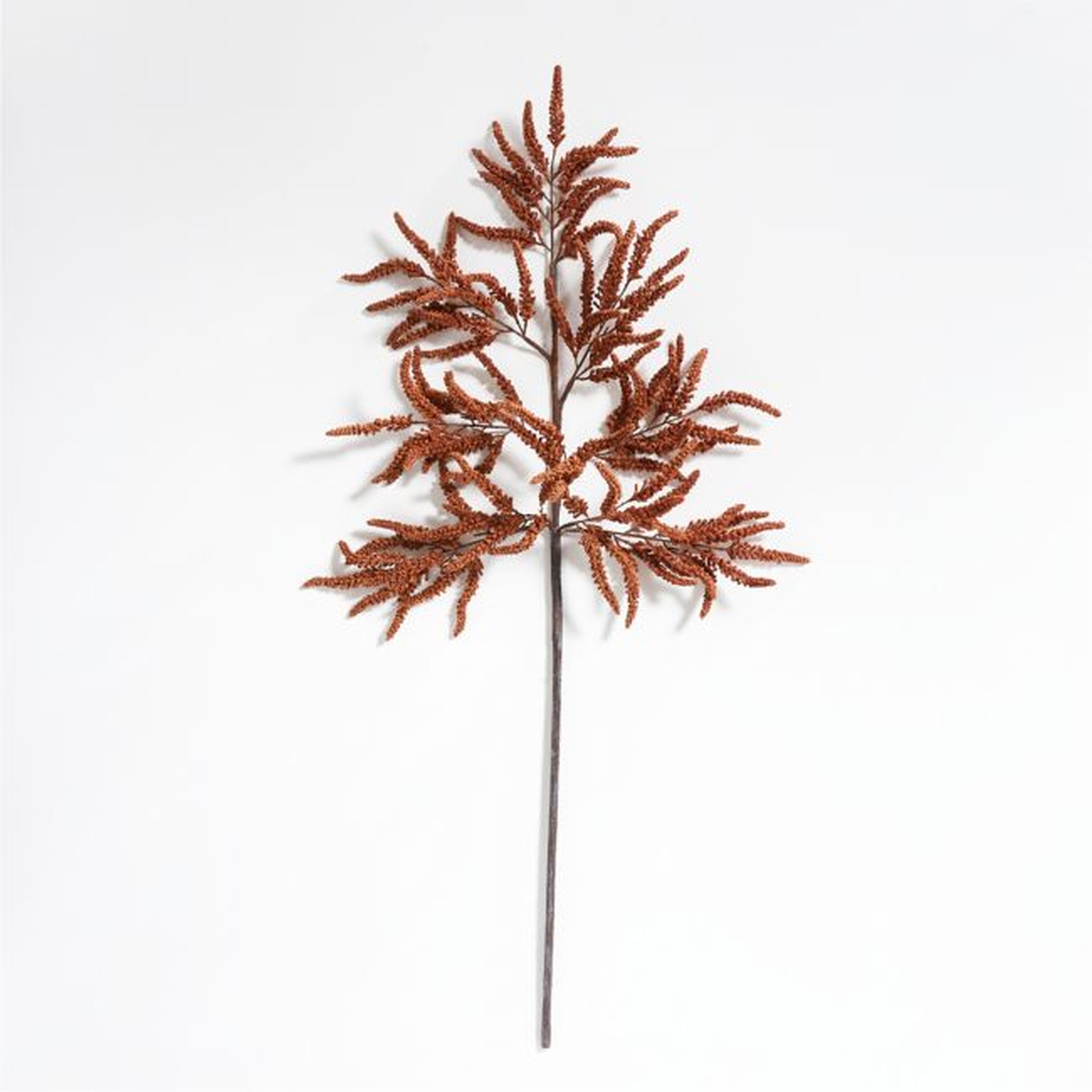 Faux Bronze Amaranthus Stem - Crate and Barrel
