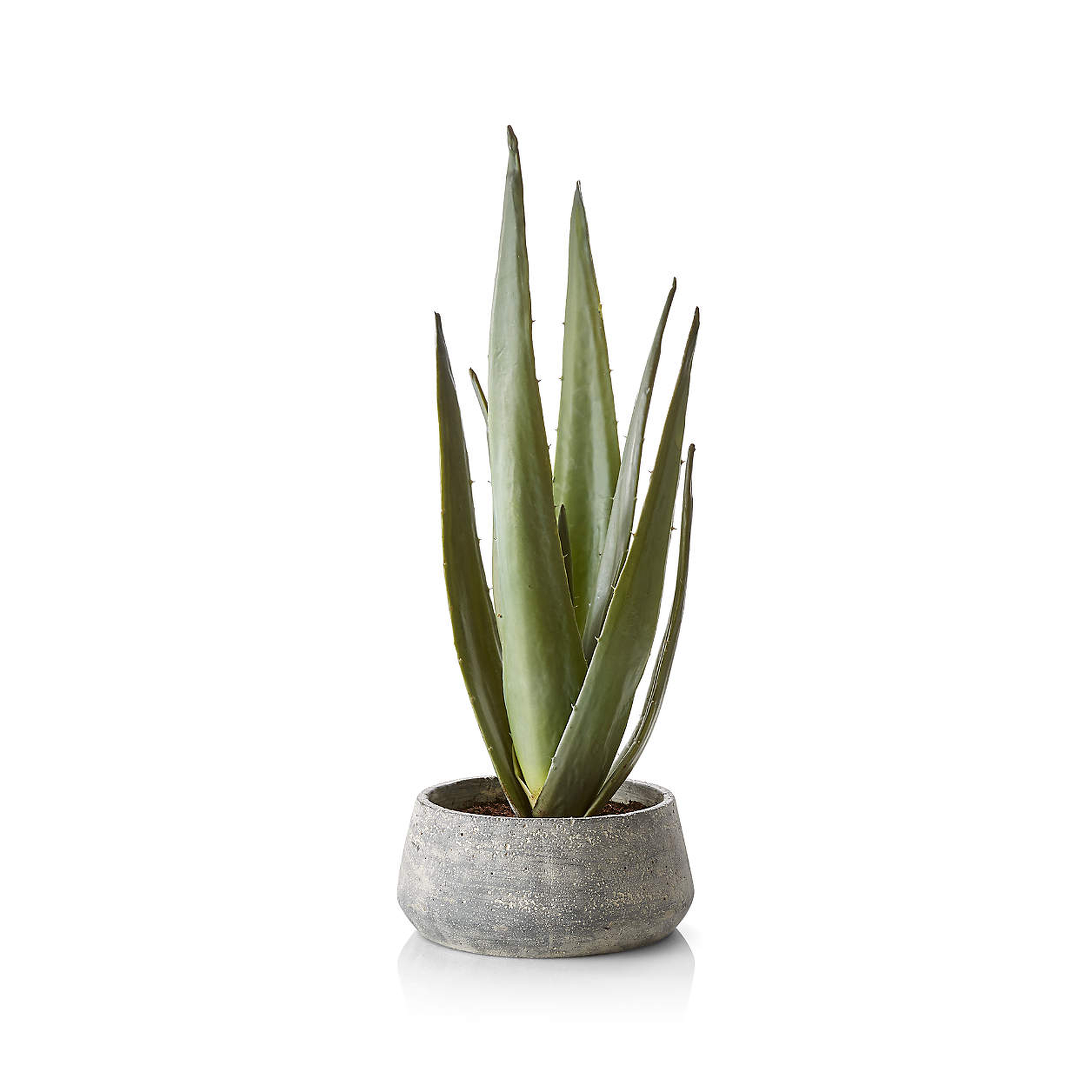 Faux Potted Agave - Crate and Barrel