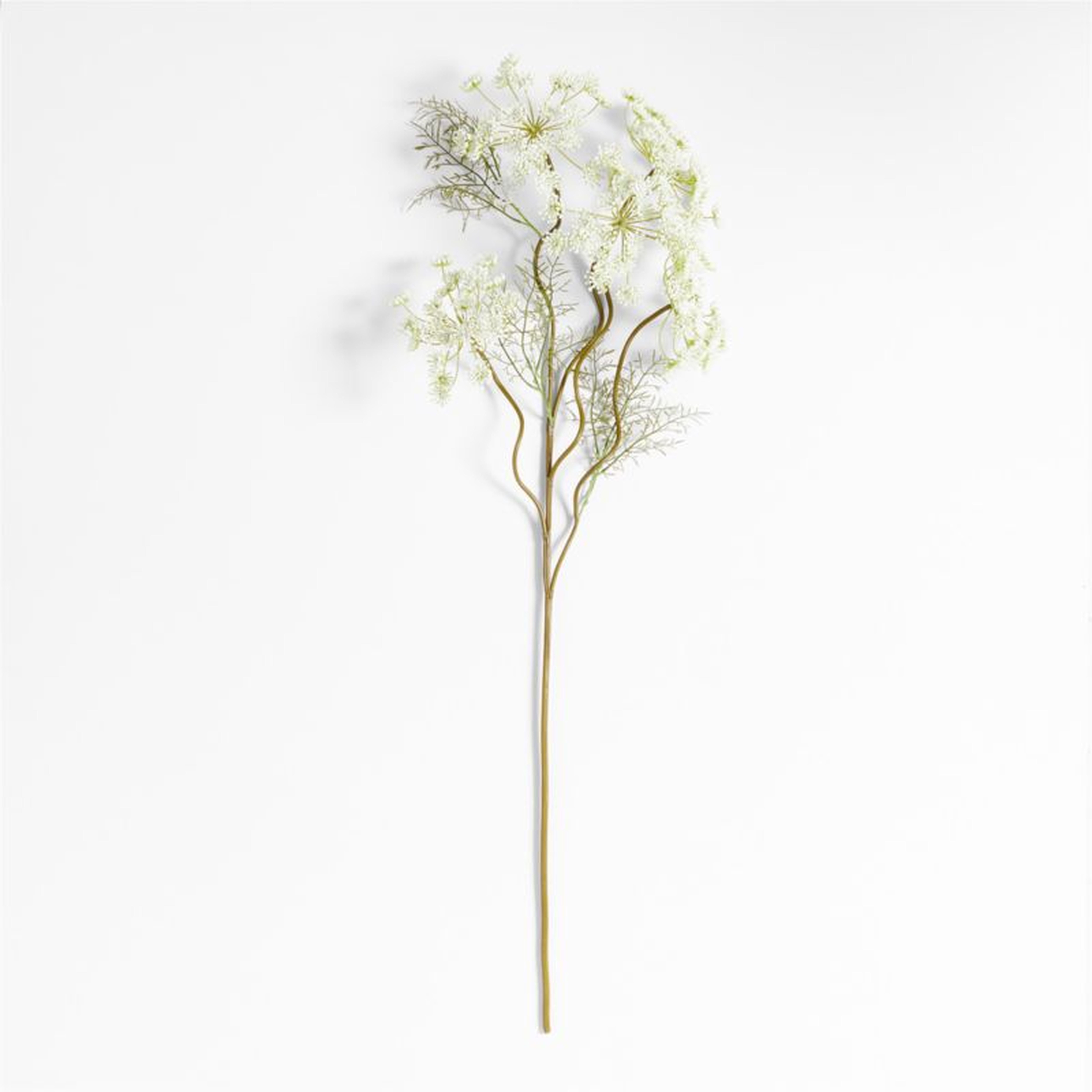 Faux Queen Anne's Lace Stem 43" - Crate and Barrel