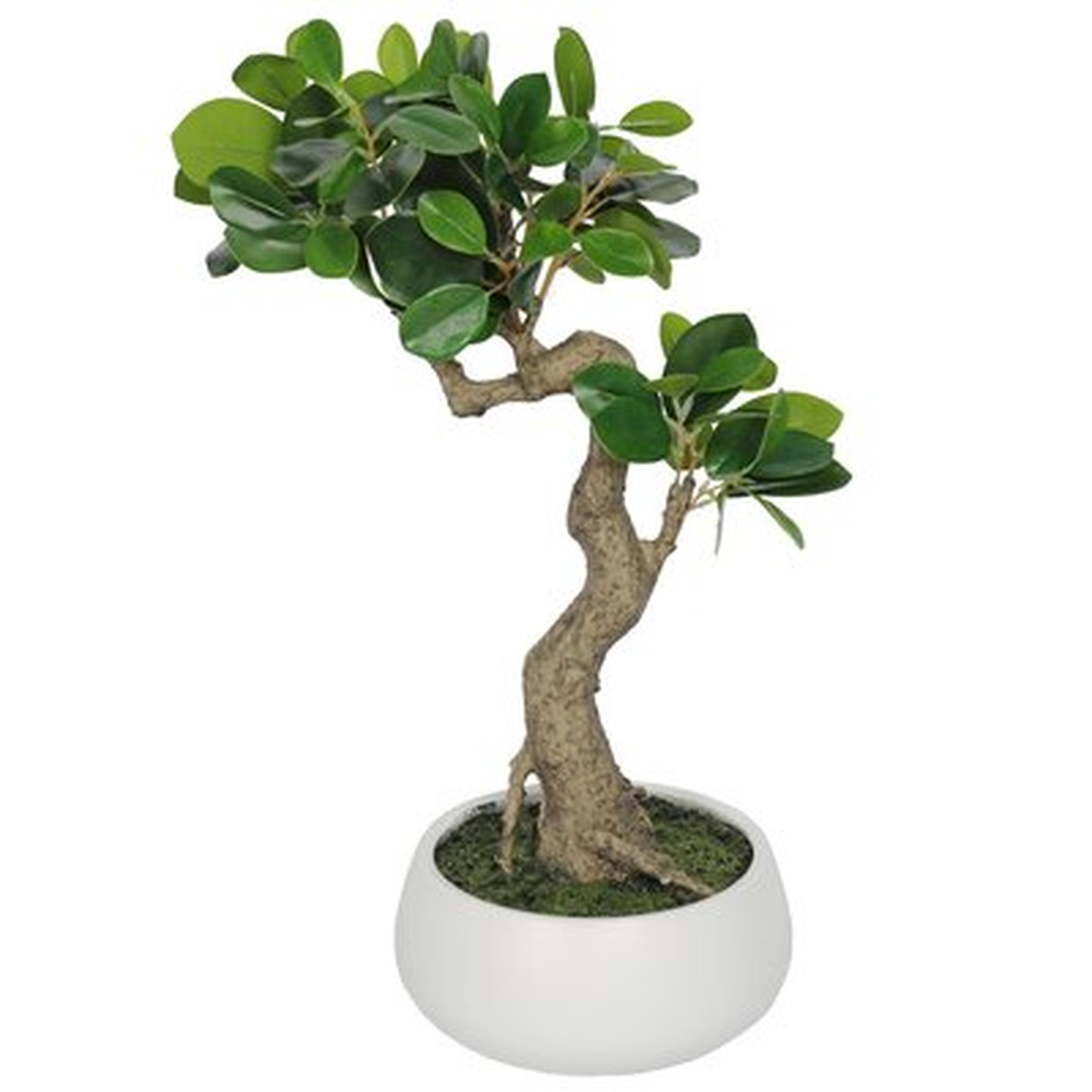 15.5" Artificial Bonsai Tree in Planter - Wayfair