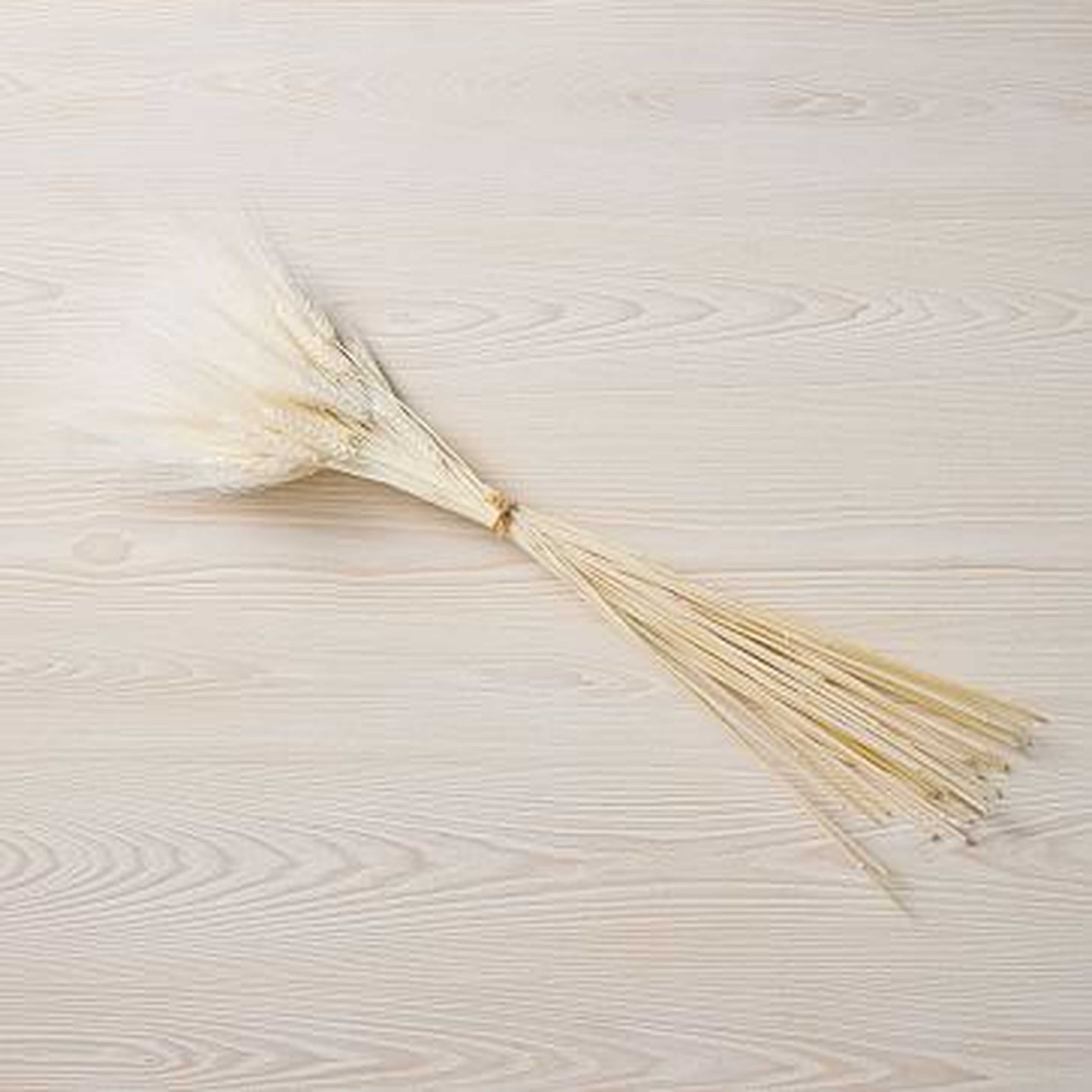 Dried White Bleached Winter Wheat, 24" - West Elm
