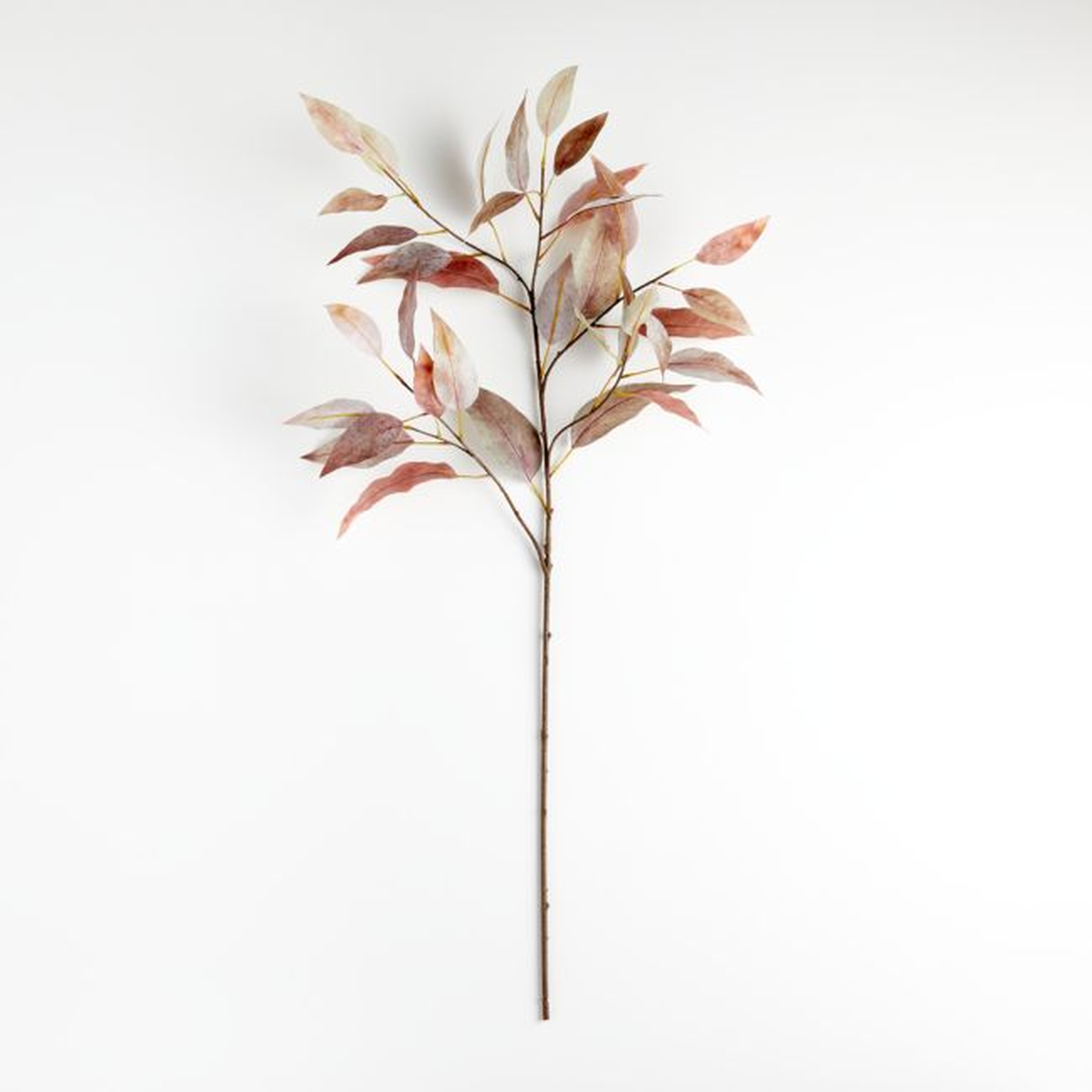 Faux Willow Eucalyptus Stem - Crate and Barrel