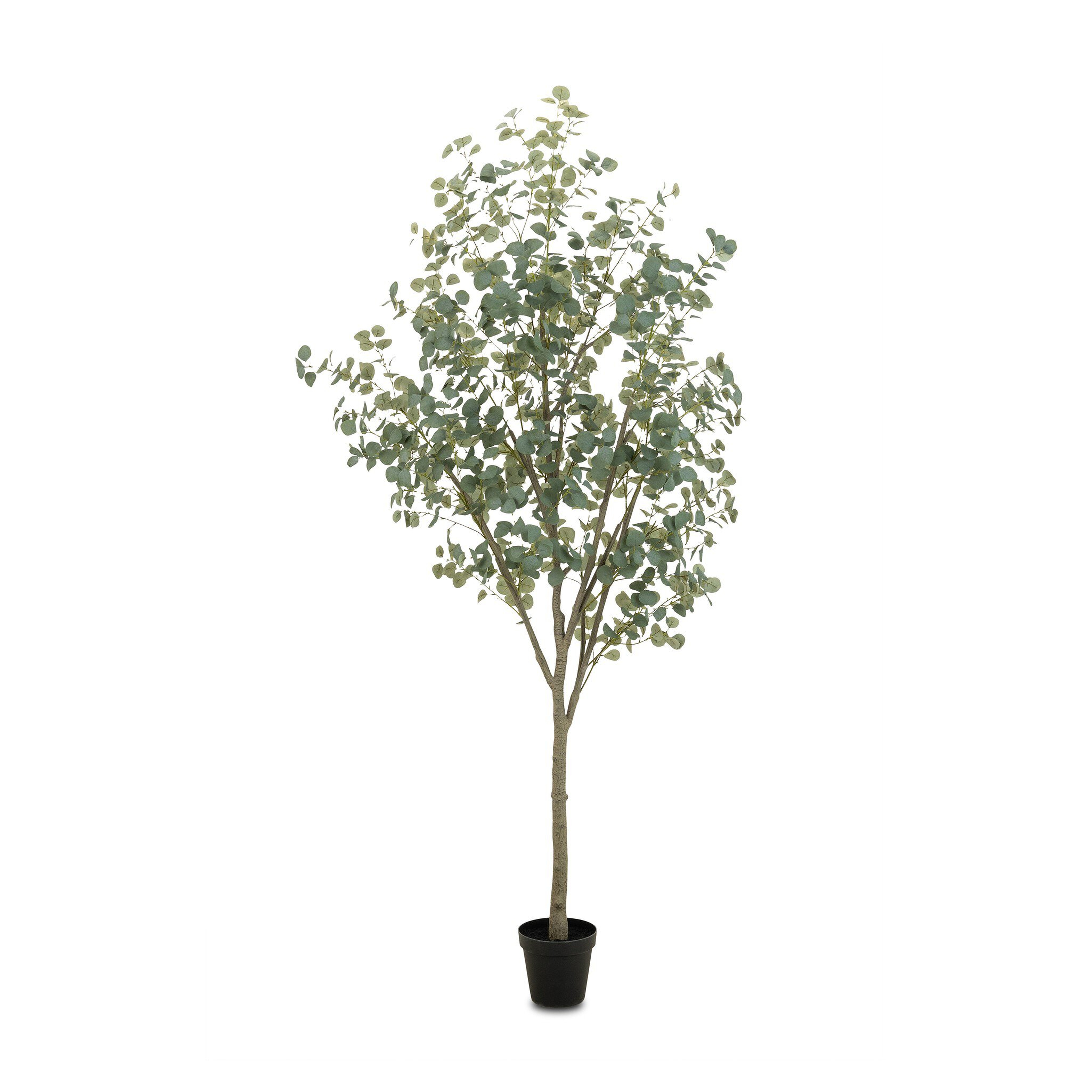 Faux Eucalyptus Tree - Faux Eucalyptus Tree - Four Hands