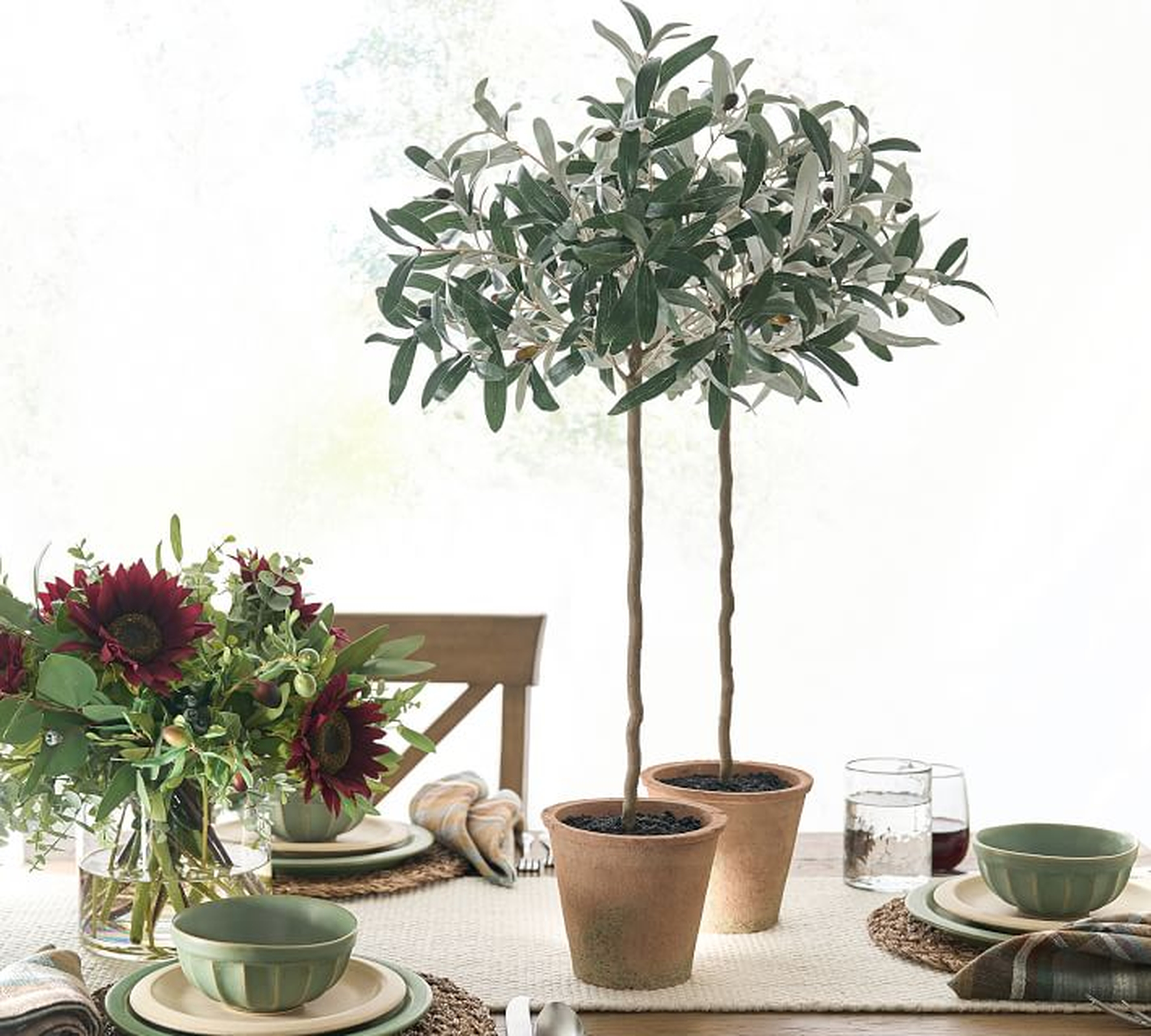 Faux Potted Olive Topiary, Tall, Green - Pottery Barn