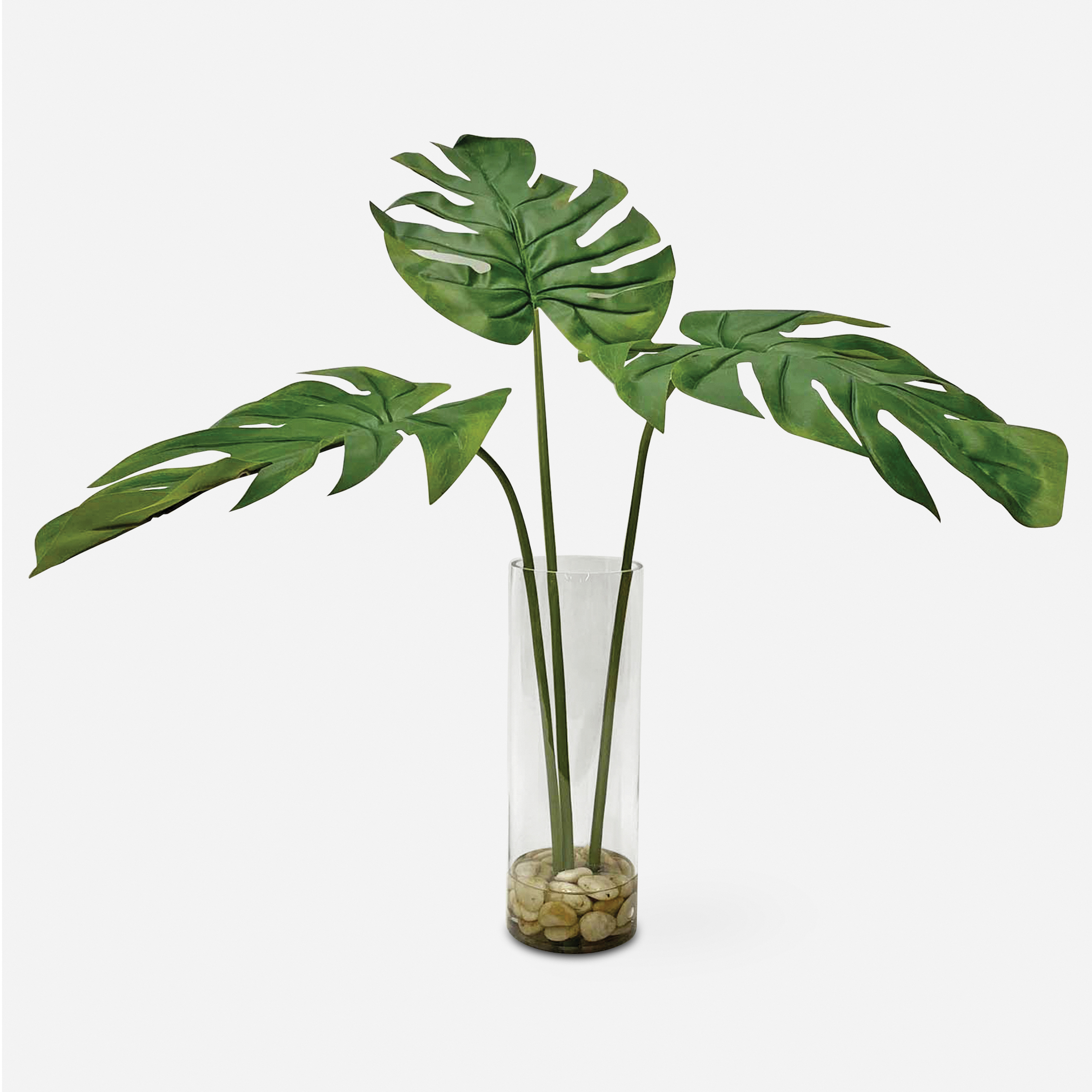 Ibero Split Leaf Palm - Uttermost