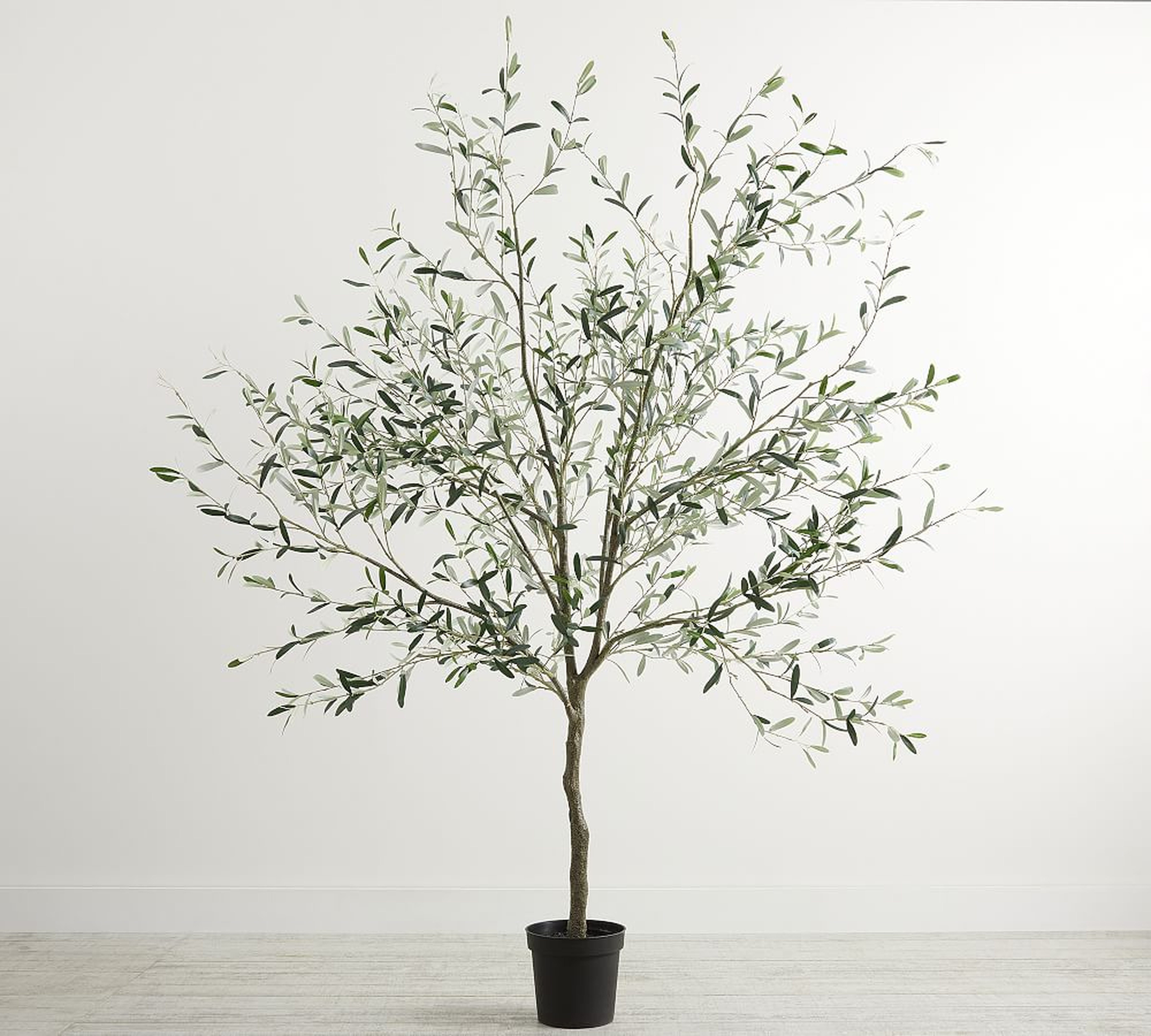 Faux Potted Olive Tree, 8', Green - Pottery Barn