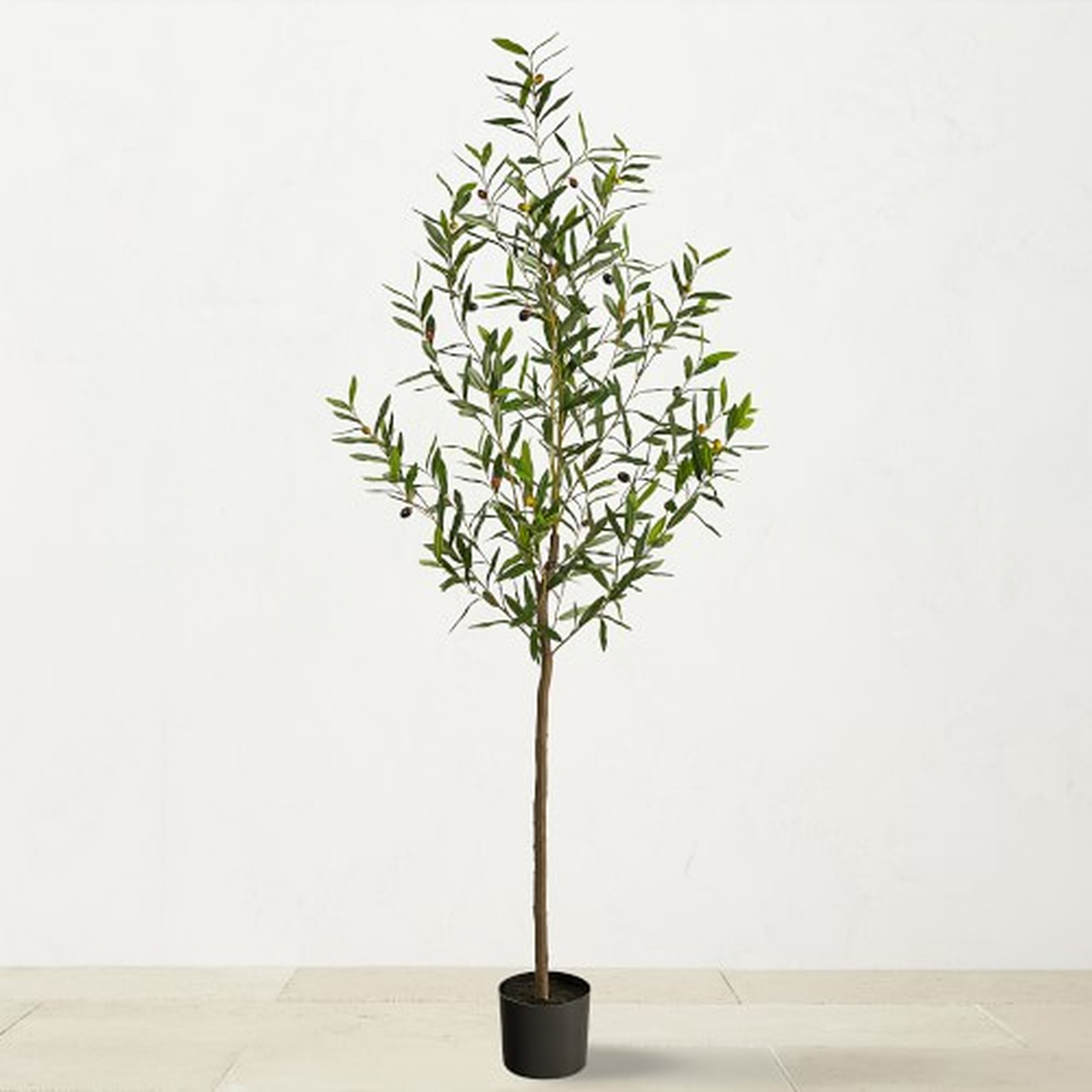 Faux Olive Tree, 72" - Williams Sonoma