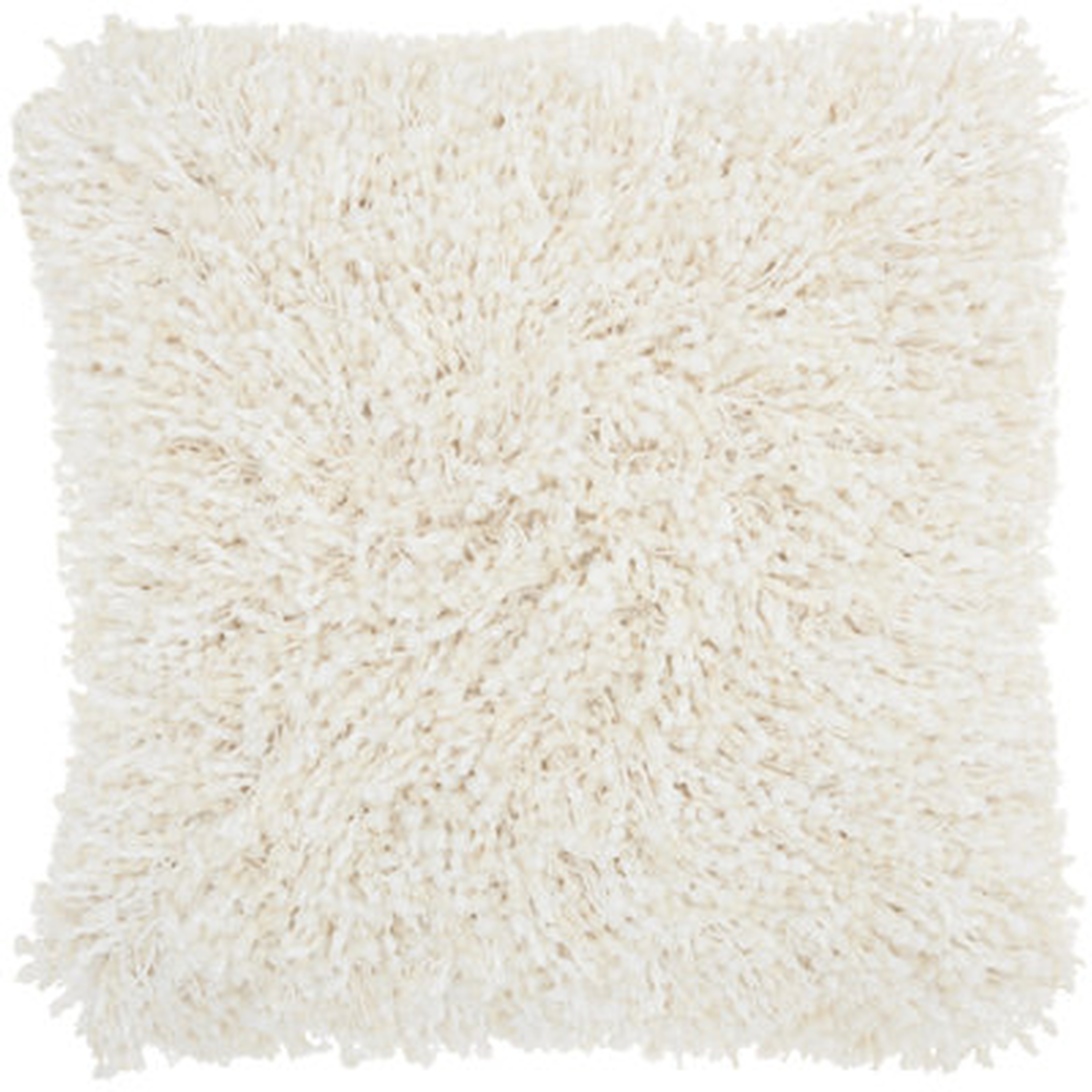 Square Pillow Cover & Insert - Wayfair