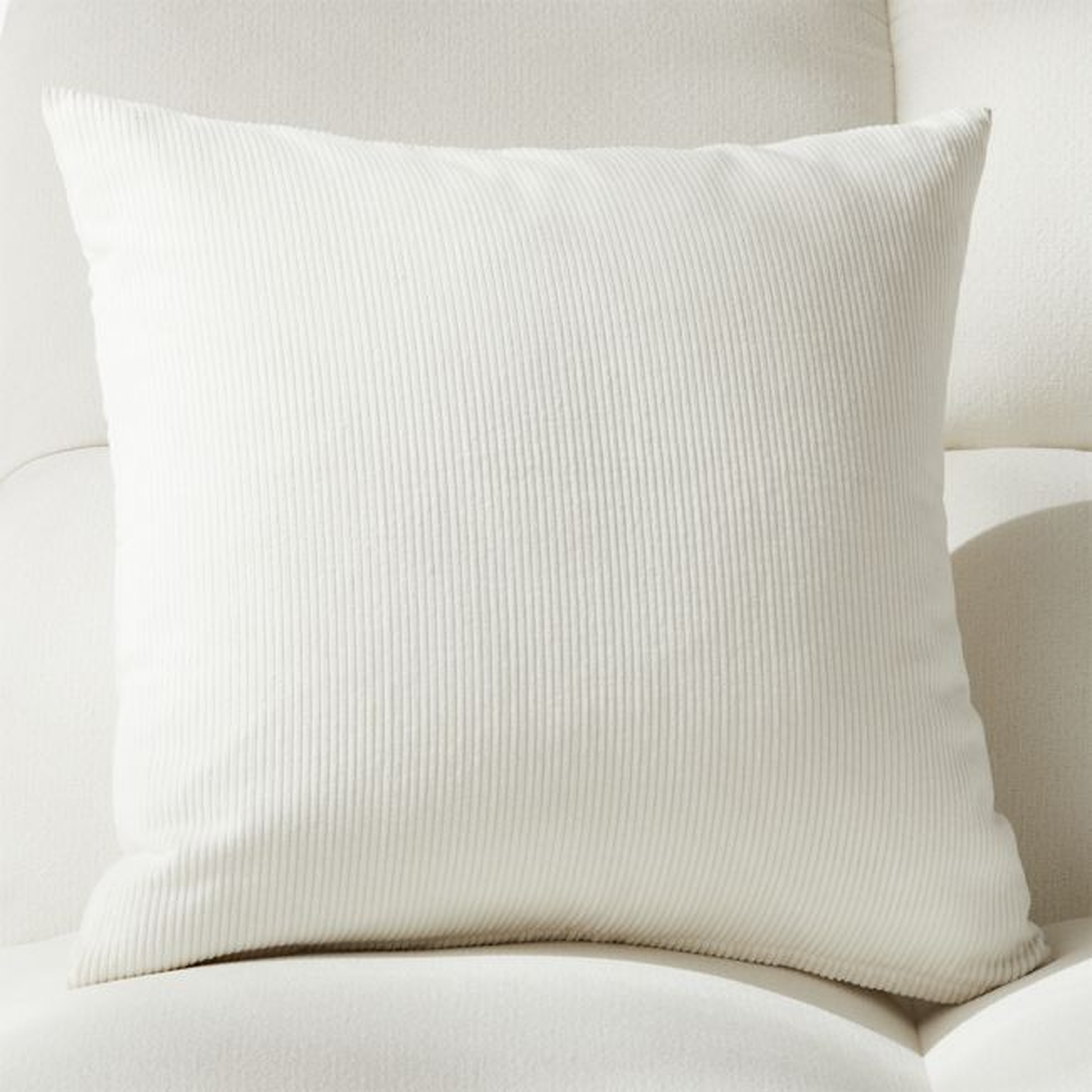 20" Anywhere Pillow with Feather-Down Insert - CB2