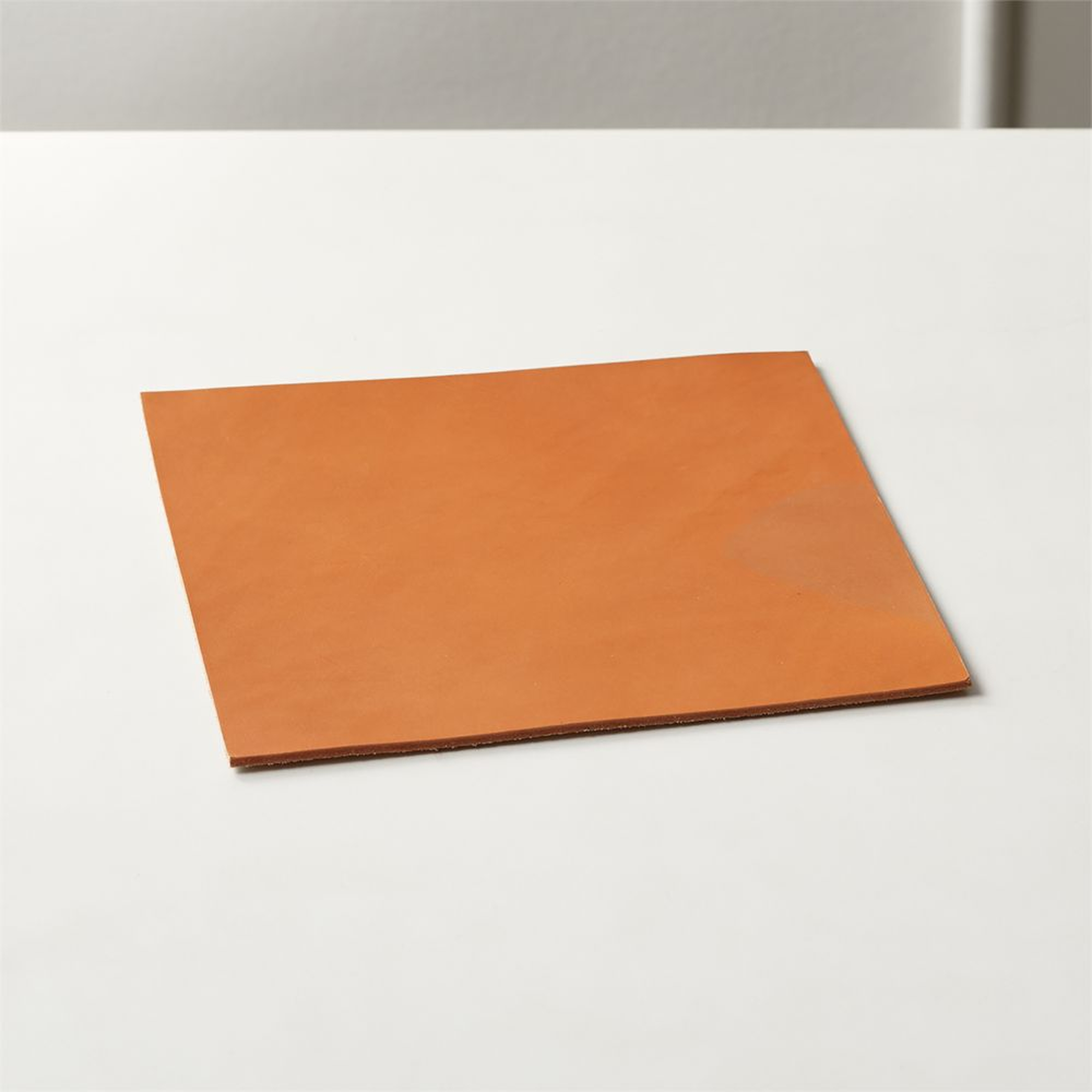 Rein Saddle Leather Mouse Pad - CB2