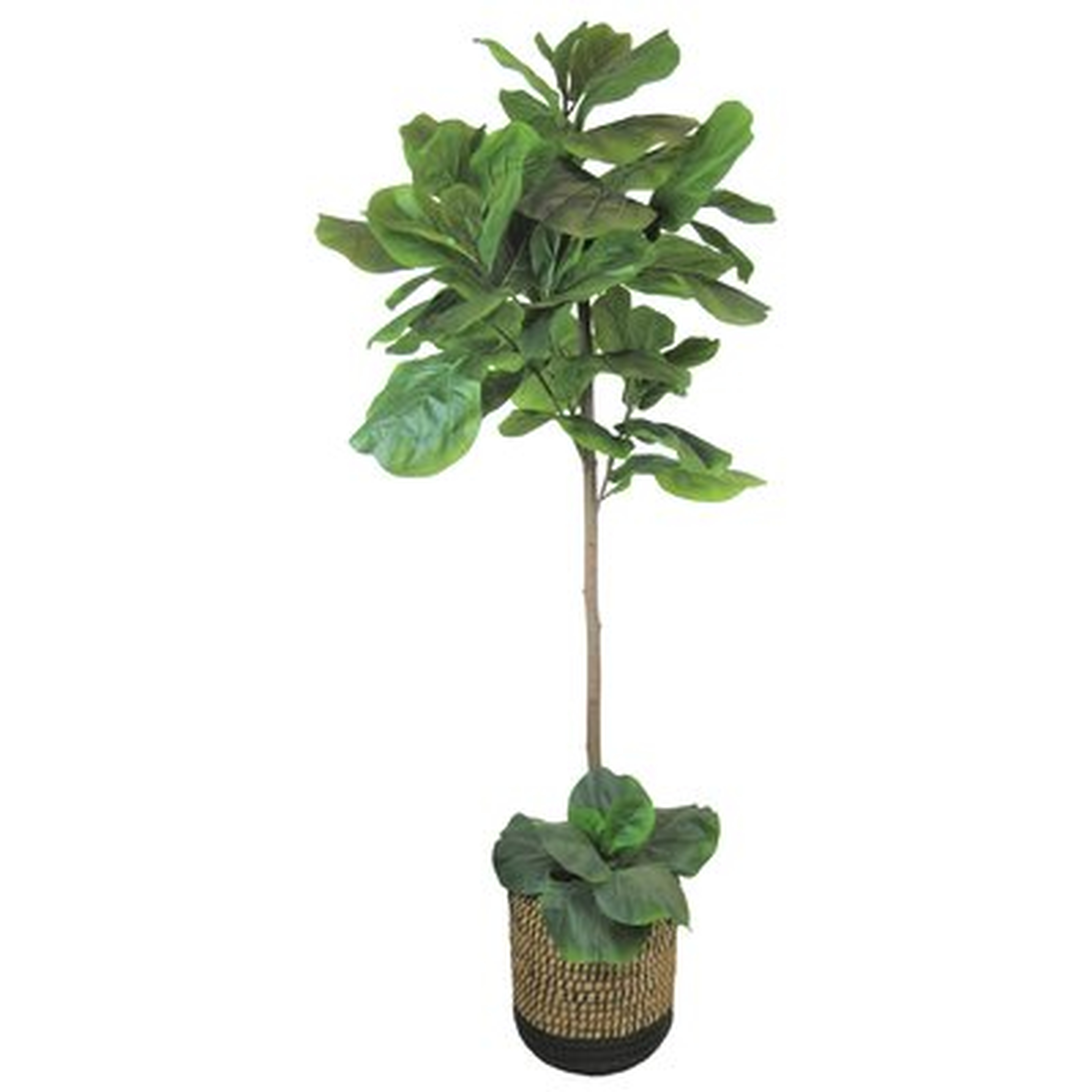 60'' Artificial Fiddle Leaf Fig Tree in Basket - Wayfair