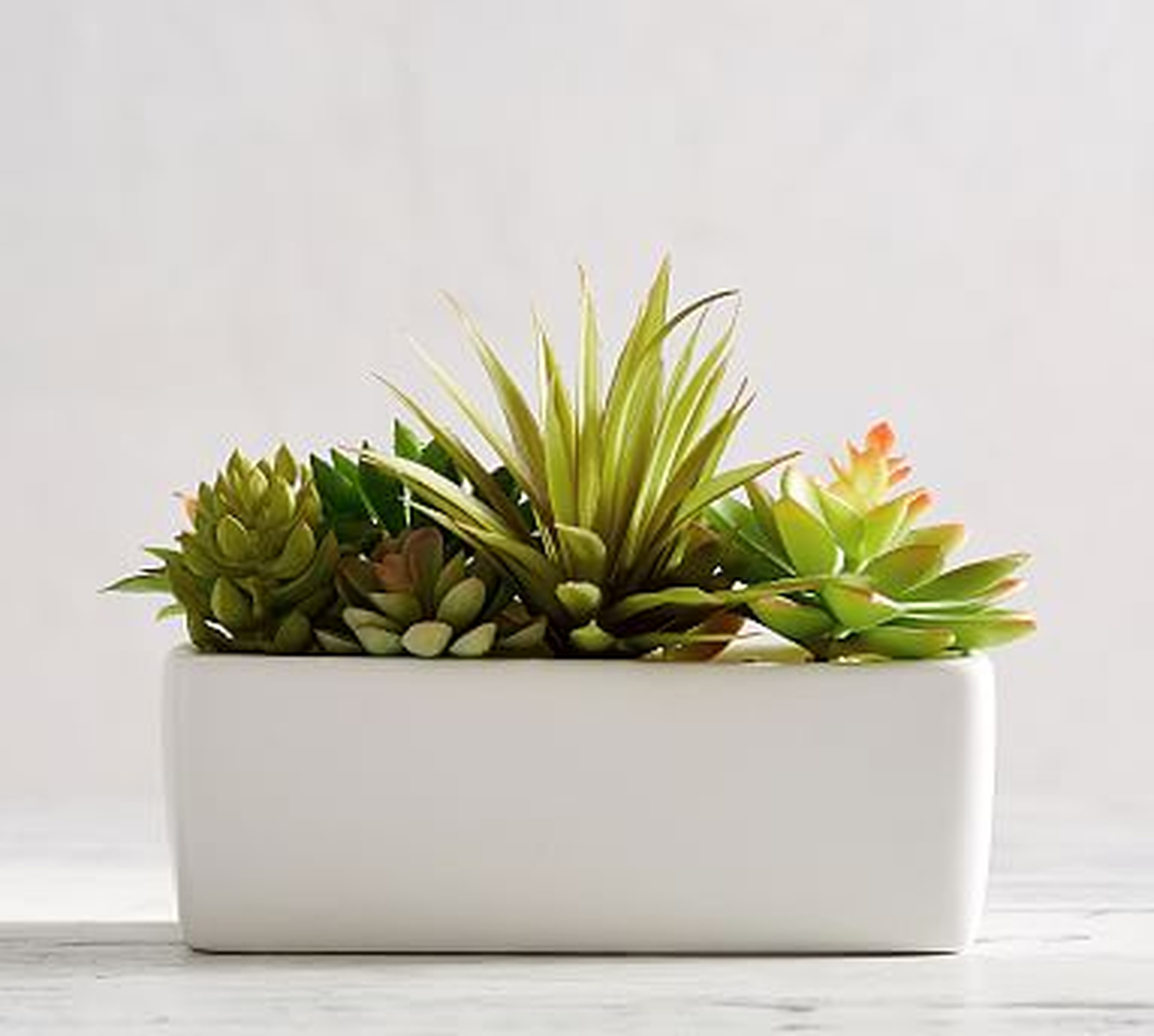 Faux Potted Succulents Set, Multi - Pottery Barn