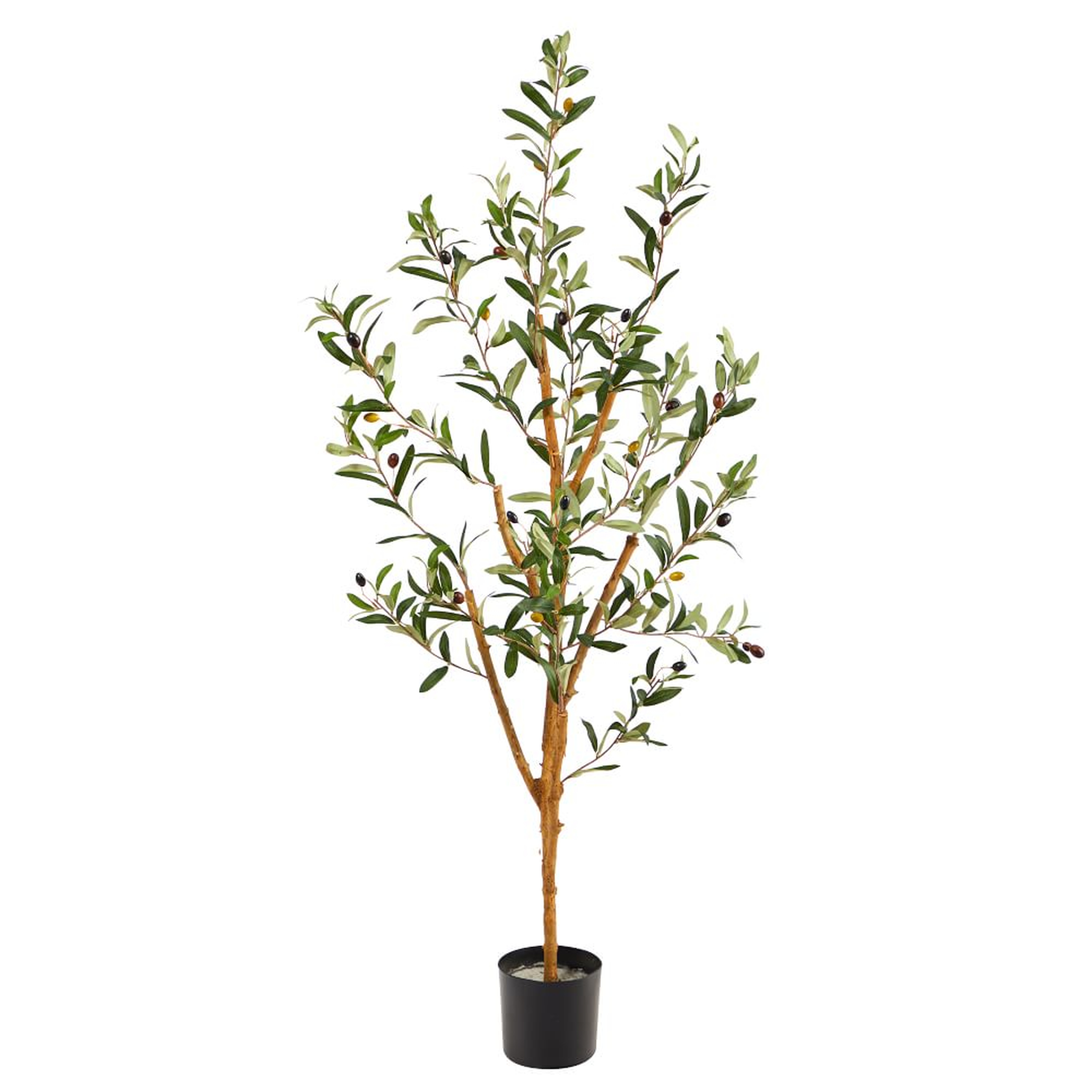 Faux Potted Olive Tree, 3.5' - West Elm