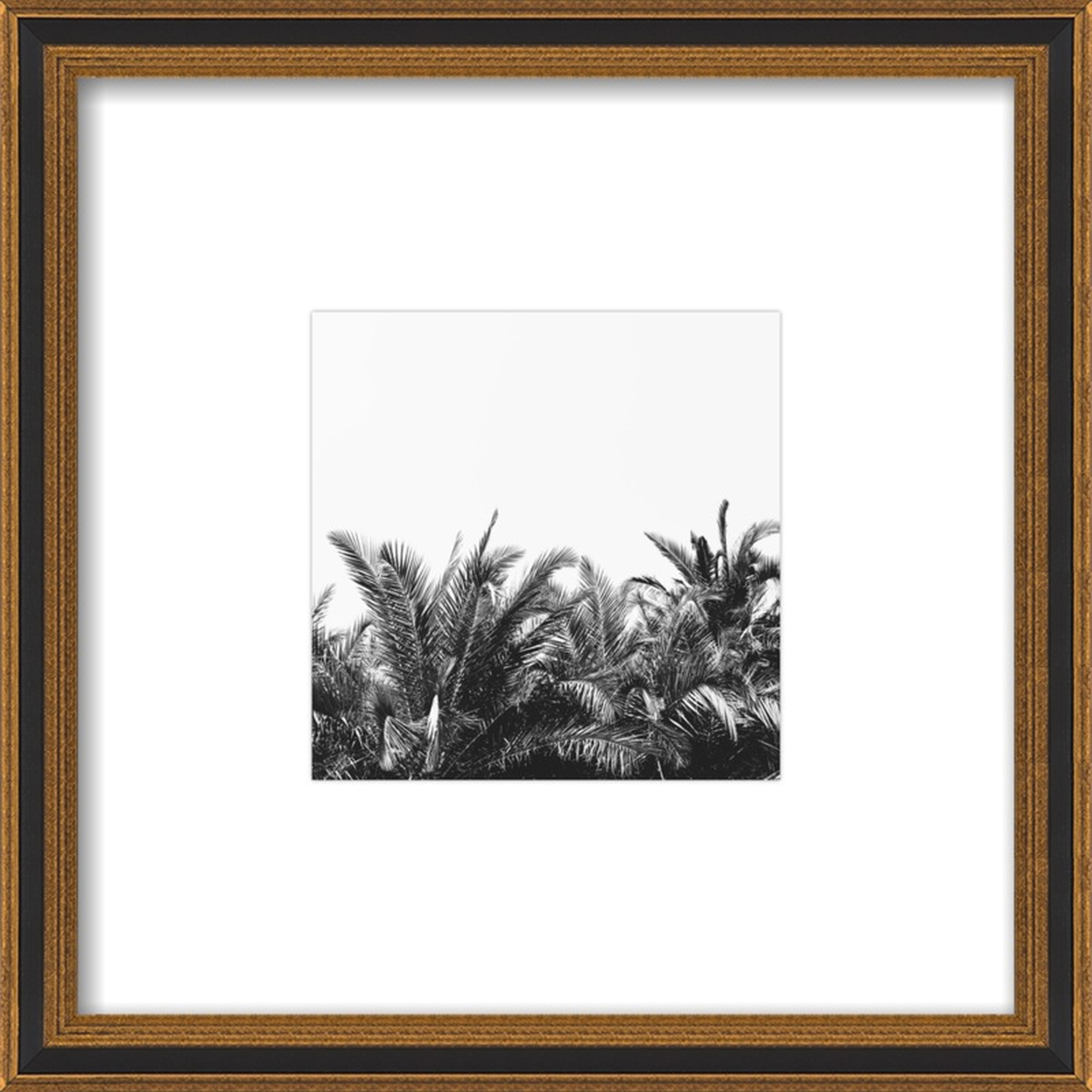 Palm Breeze by Alicia Bock for Artfully Walls - Artfully Walls