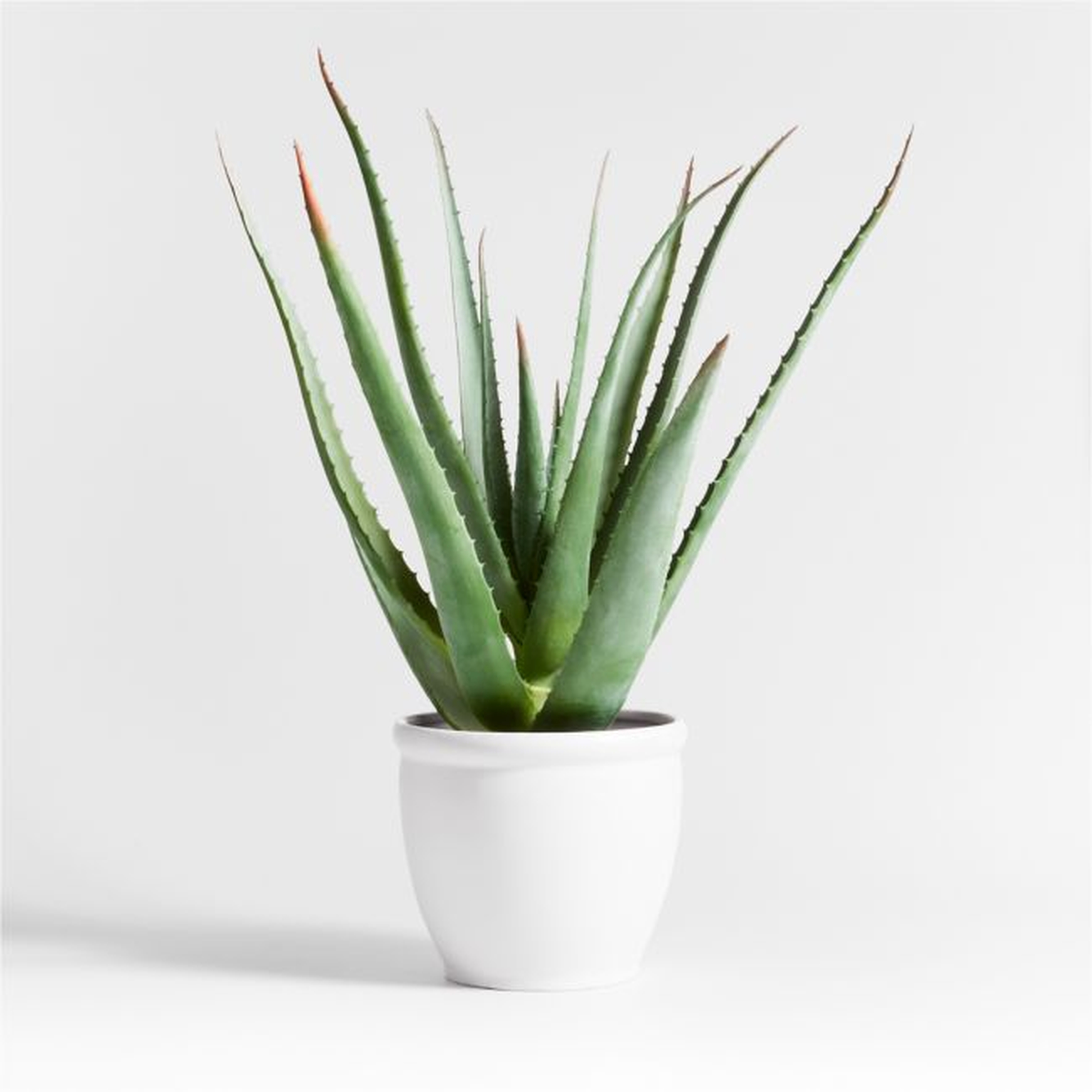 Potted Faux Agave Sisal Plant - Crate and Barrel
