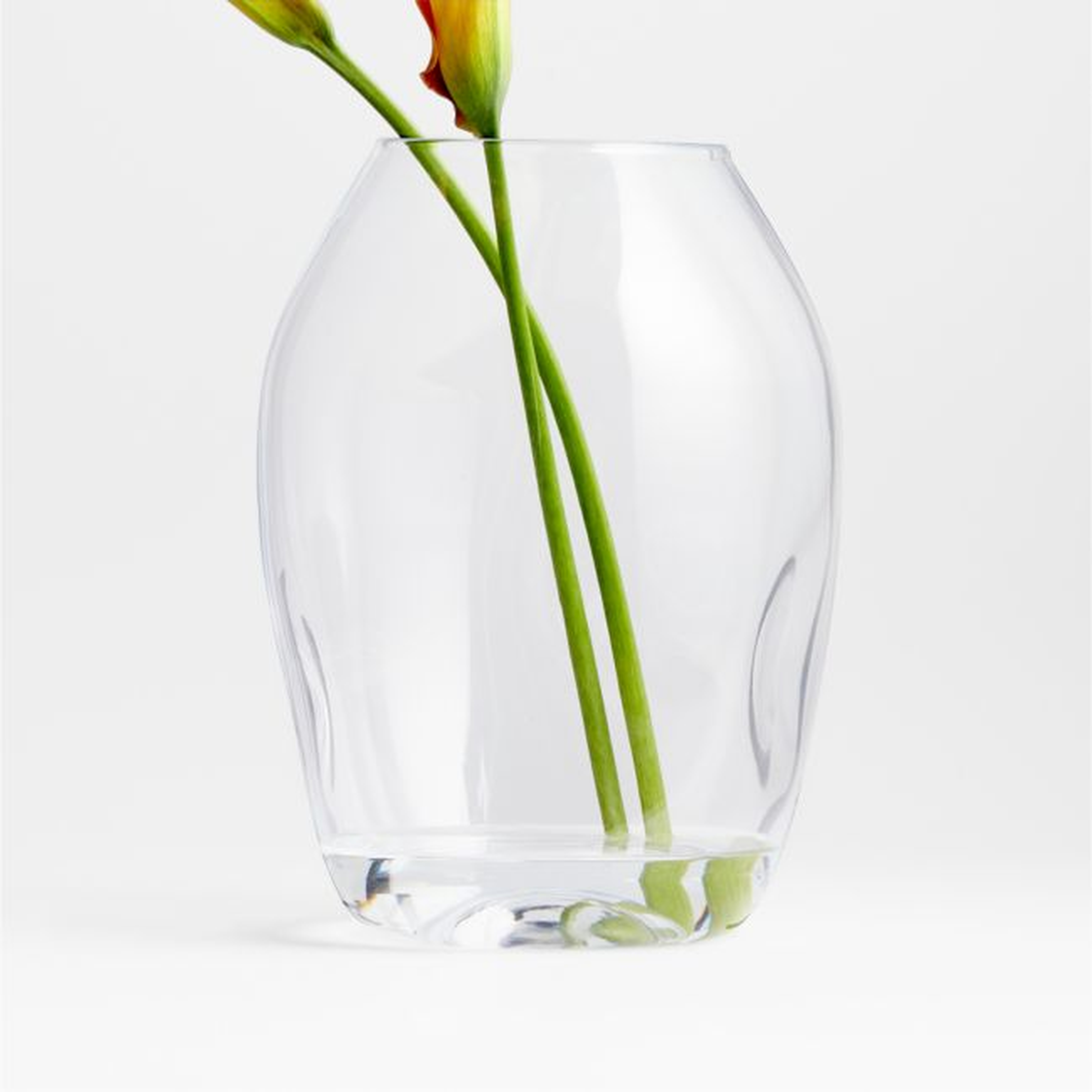 Regen Clear Blown Glass Vase 11" - Crate and Barrel
