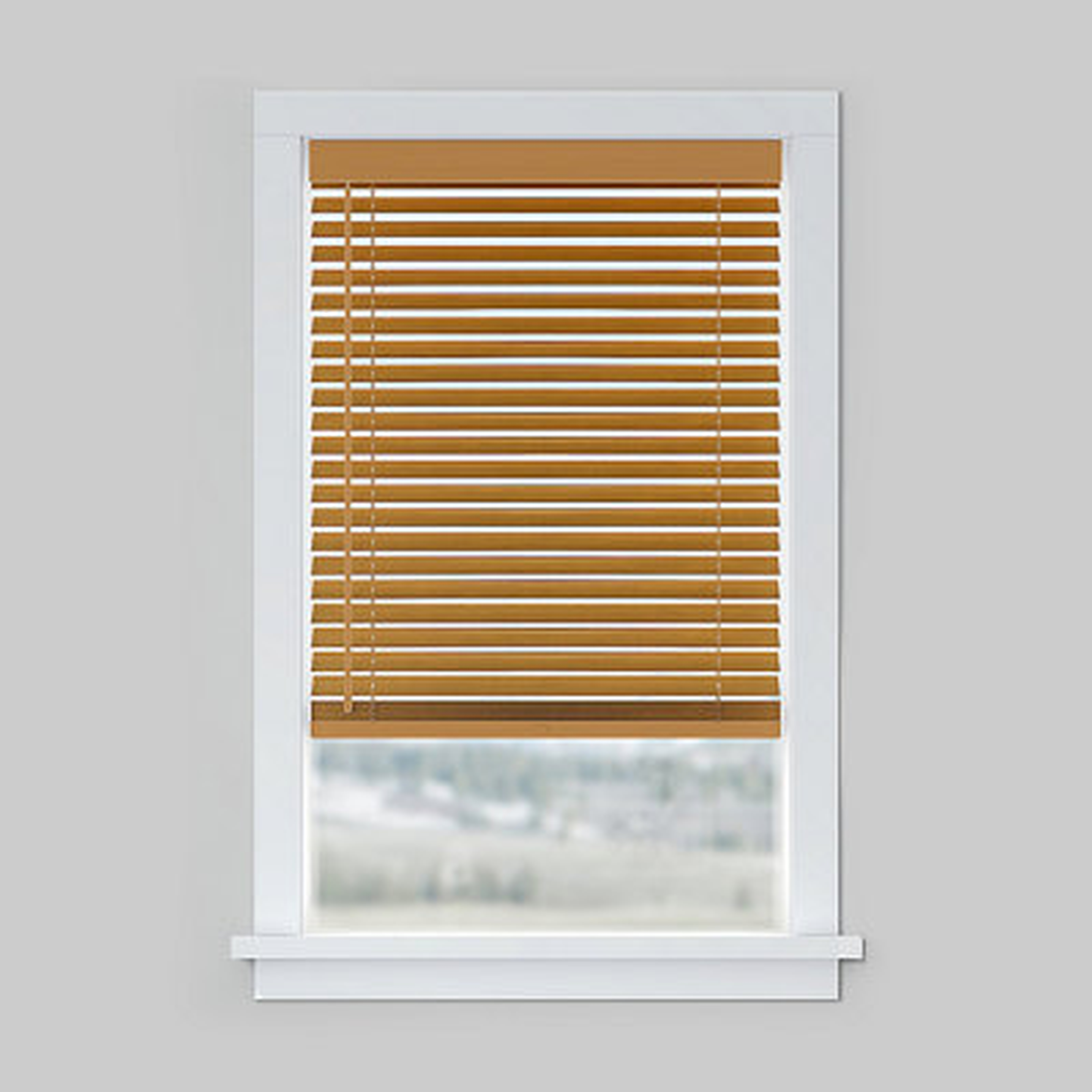 LEVOLOR Custom Cordless Horizontal Blind - Wayfair