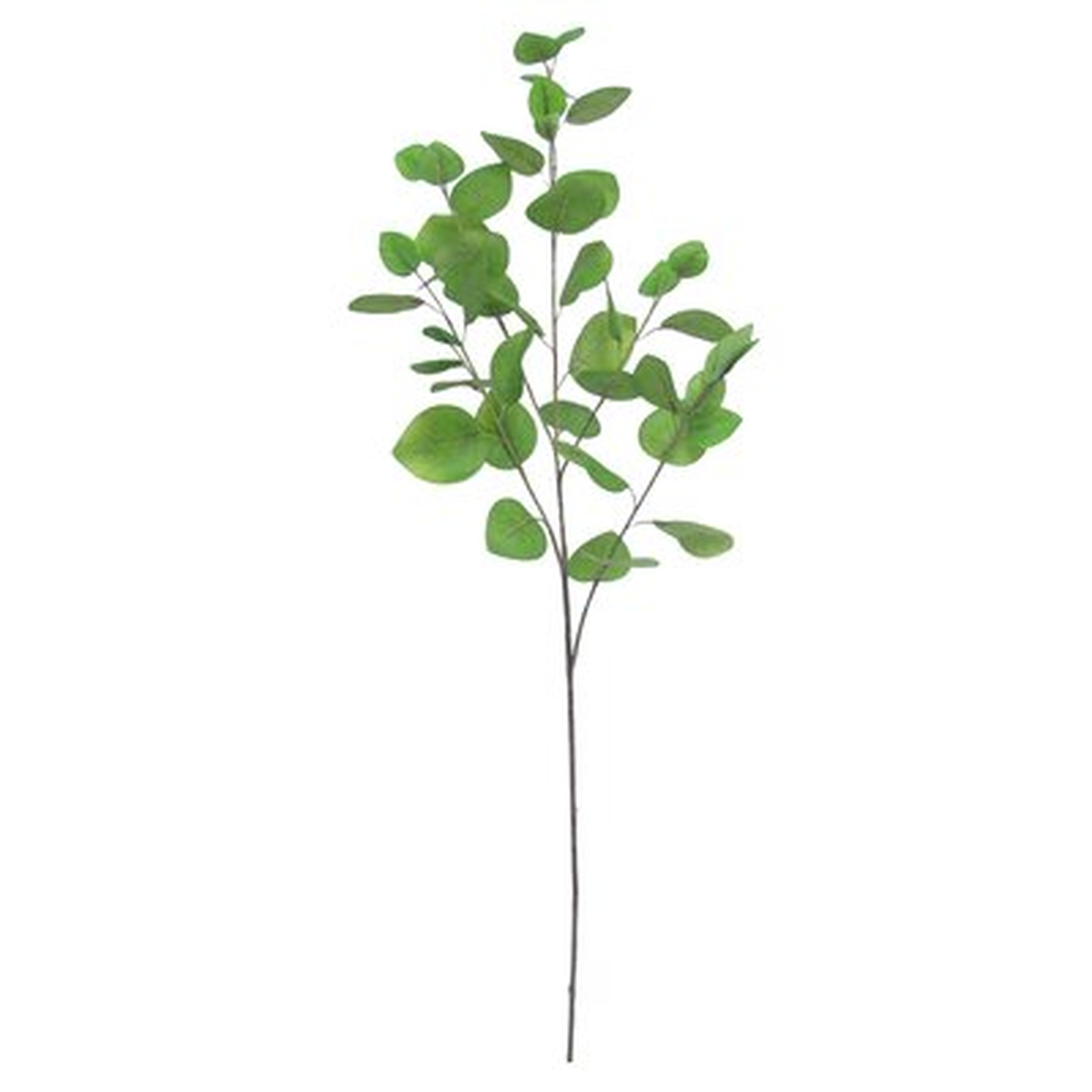 37.5" Artificial Eucalyptus Branch (Set of 3) - Wayfair