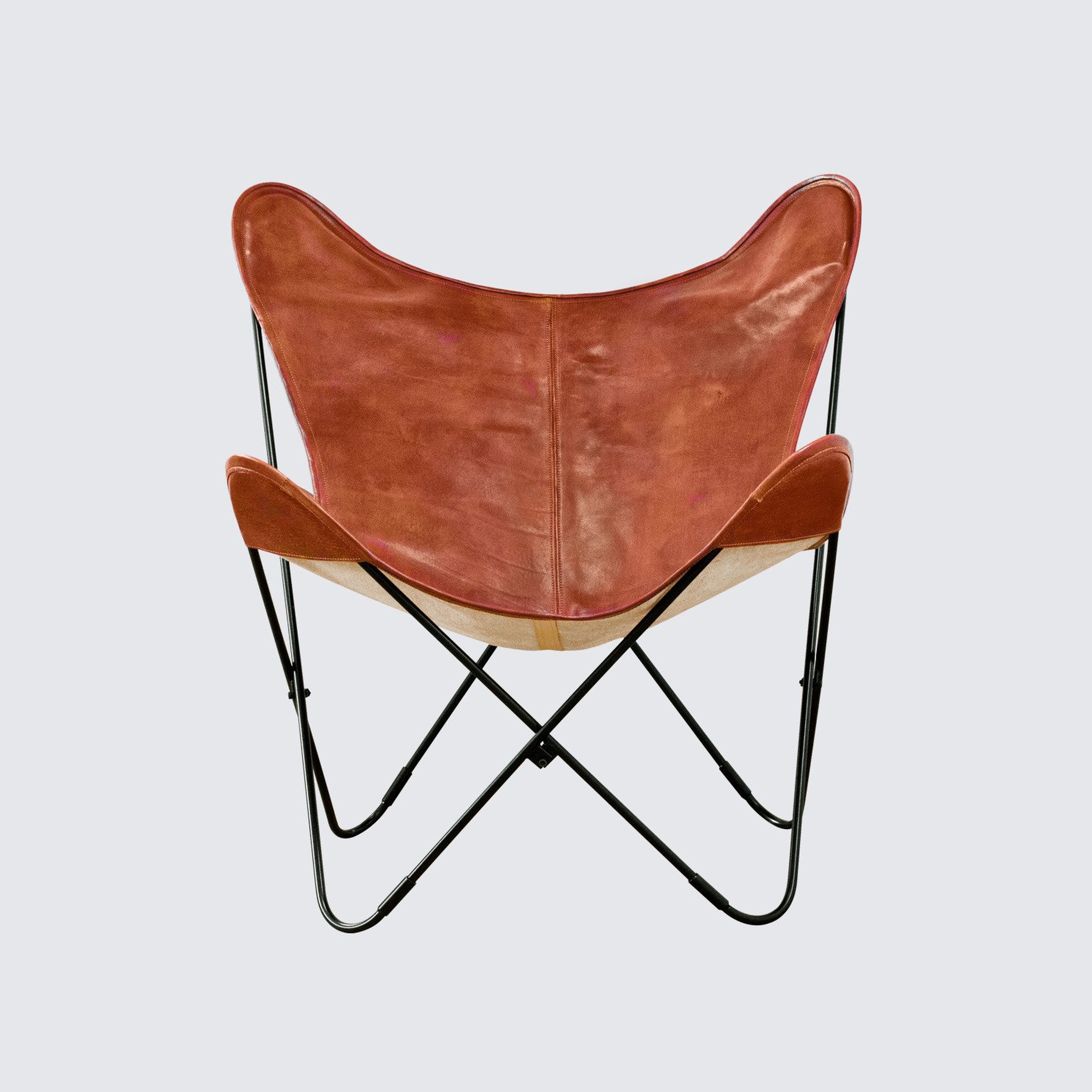 Palermo Butterfly Chair  Black & Cognac By The Citizenry - The Citizenry