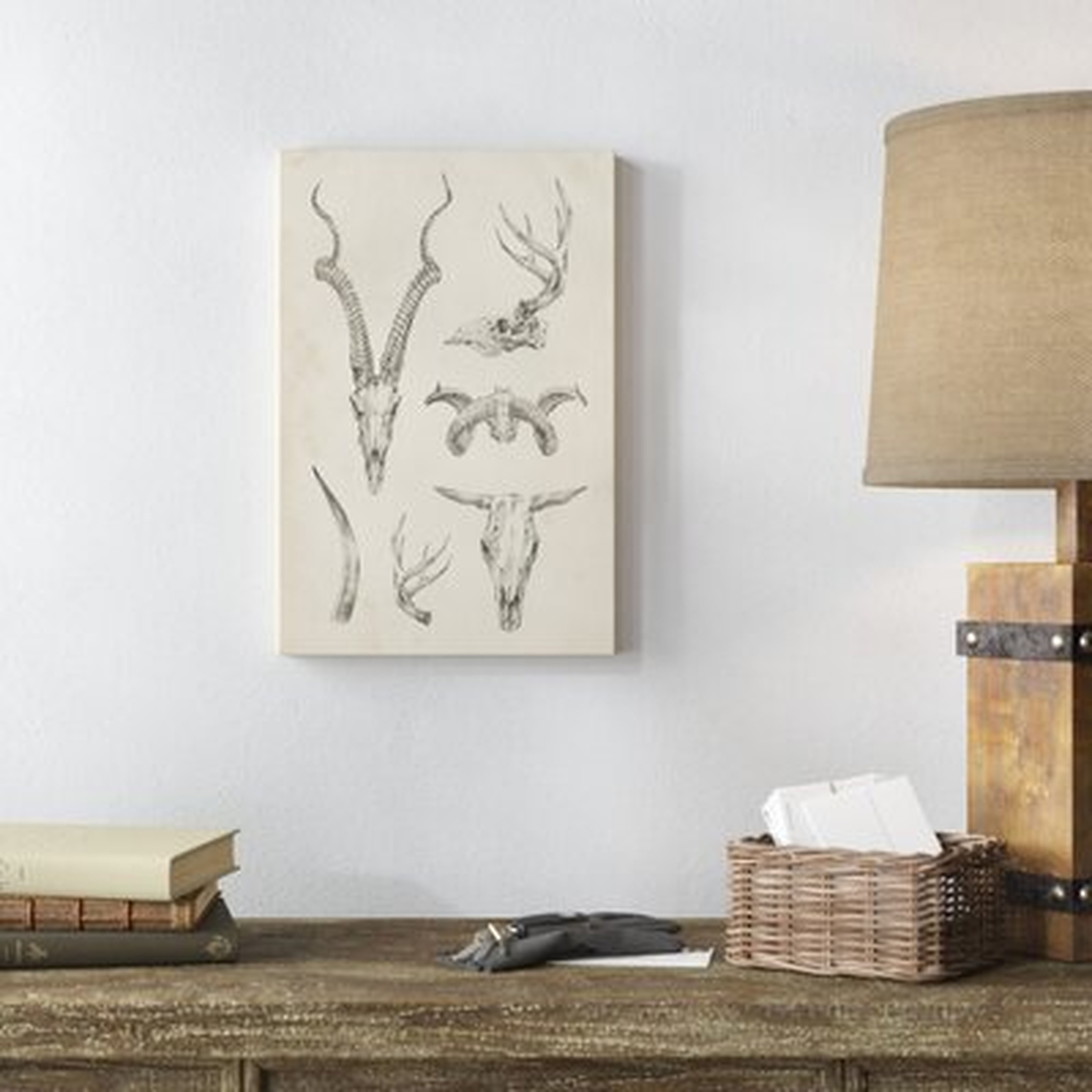 'Skull and Antler Study I' Graphic Art on Canvas - Wayfair